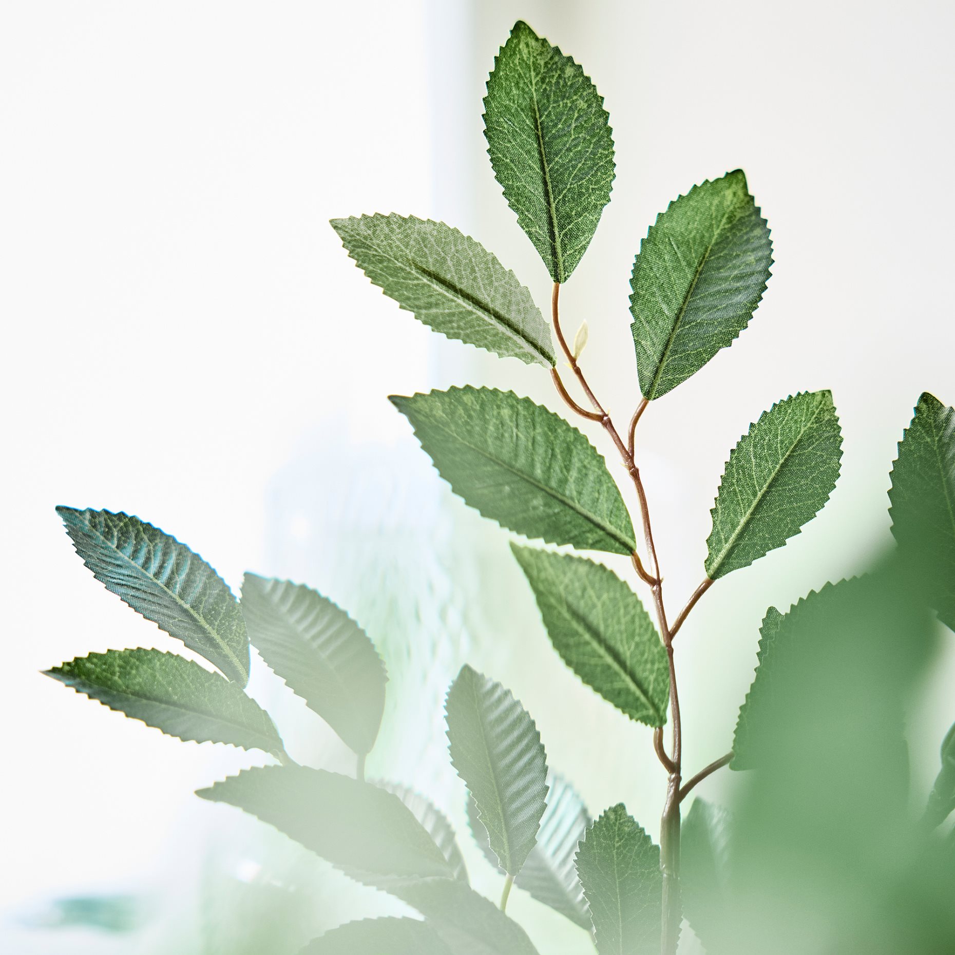 SMYCKA, artificial flower in/outdoor/foliage, 67 cm, 606.059.78