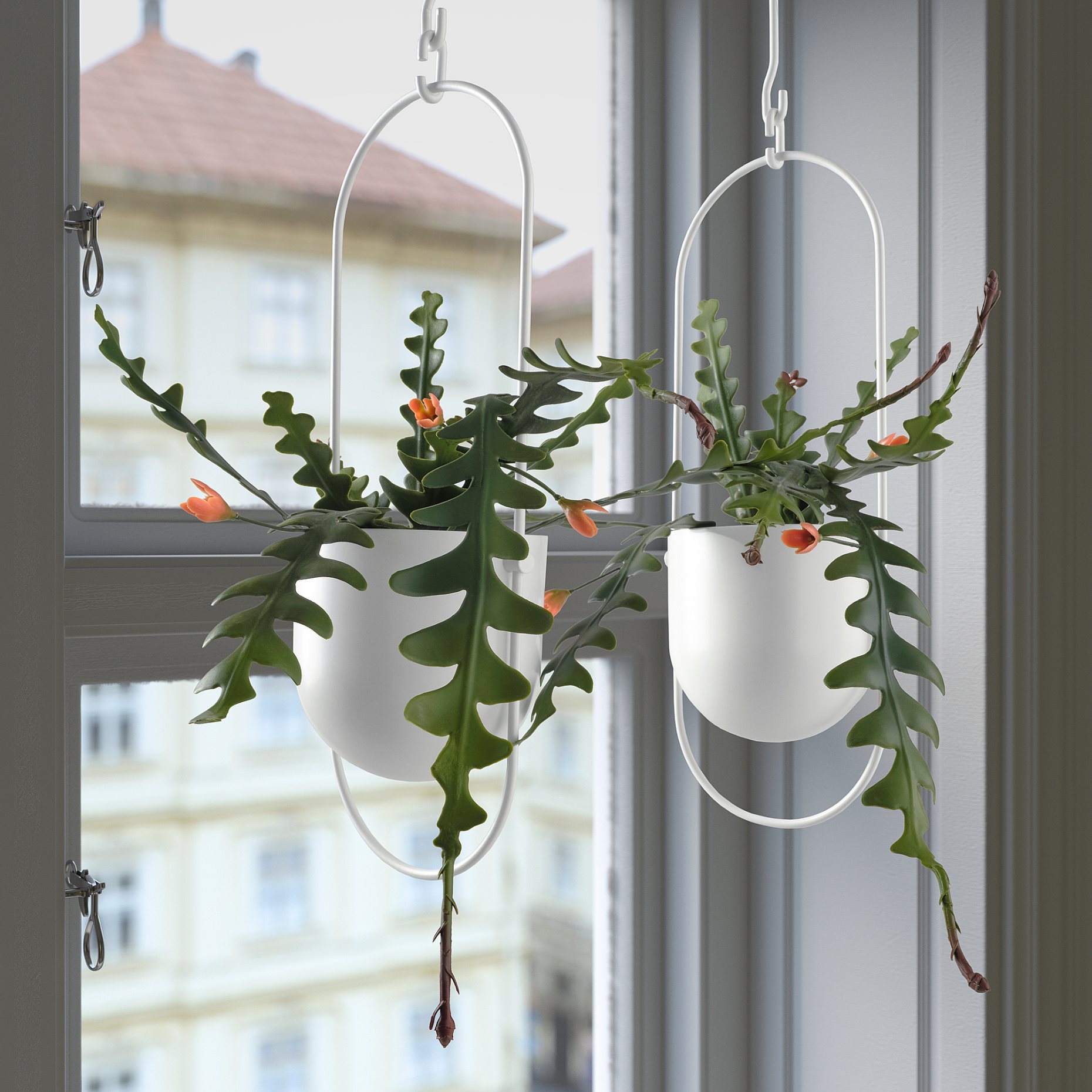 FEJKA, τεχνητό φυτό σε γλάστρα εσωτερικού/εξωτερικού χώρου/Επίφυλλο κρεμαστό, 12 cm, 705.229.87