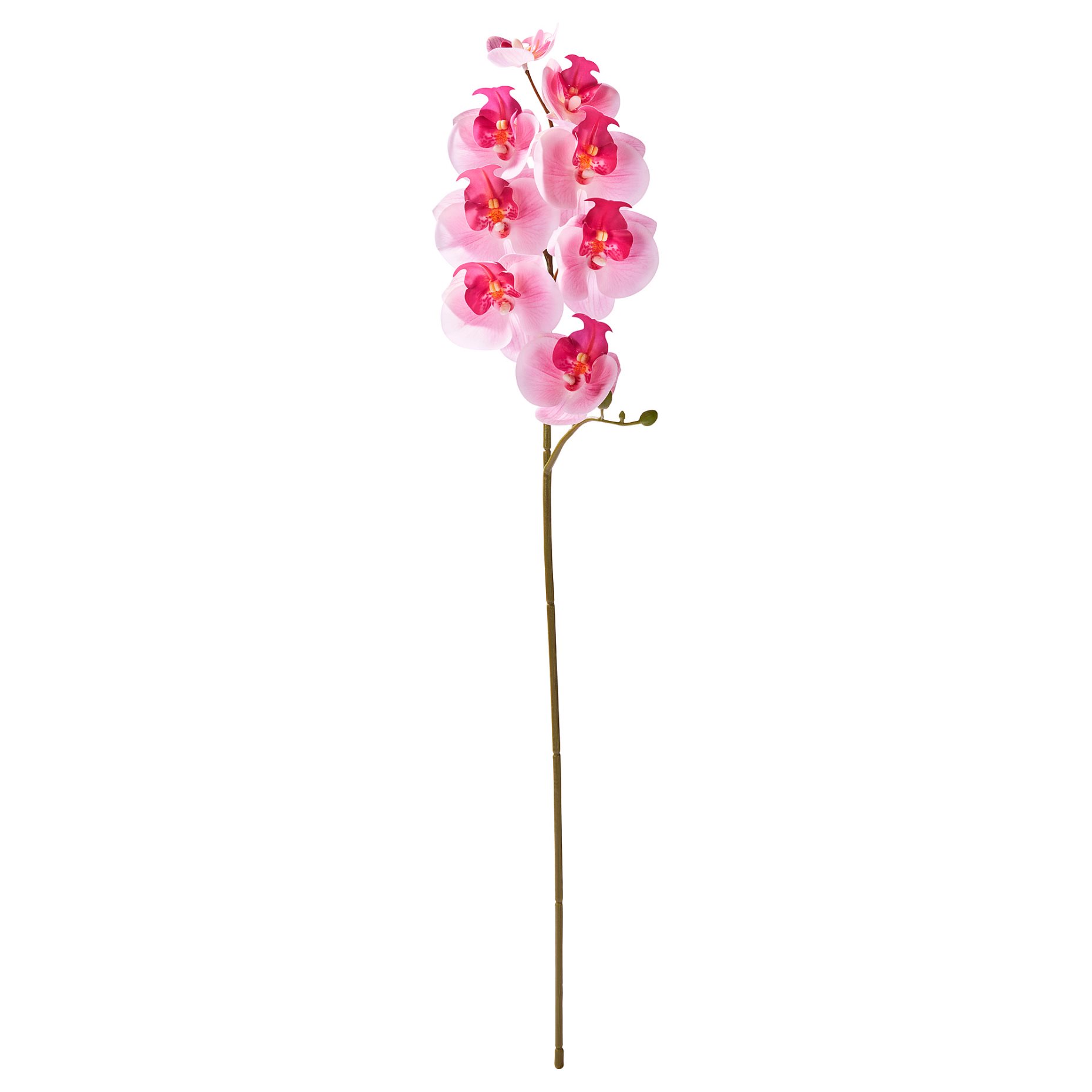 SMYCKA, artificial flower/in/outdoor/Orchid, 60 cm, 705.871.58