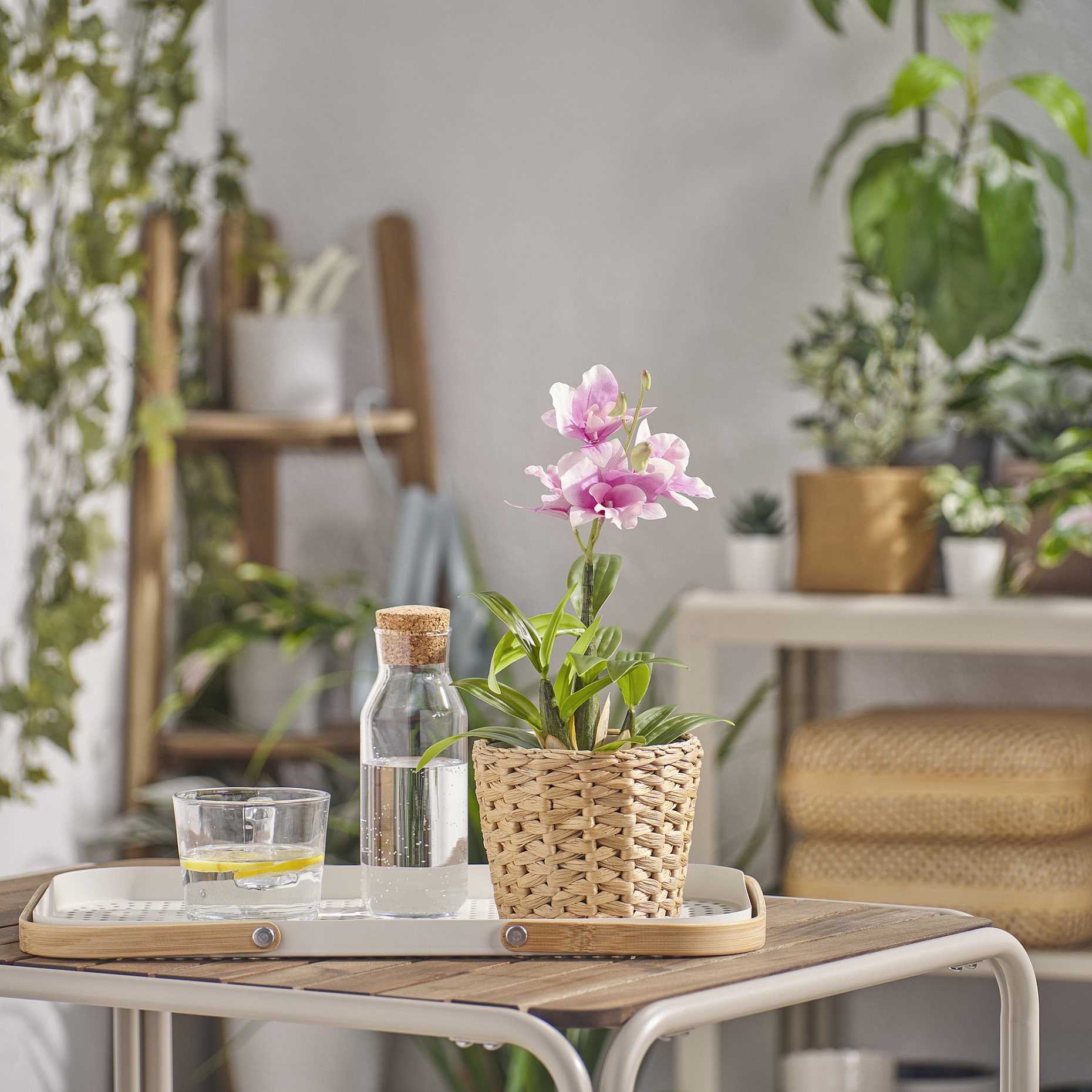 FEJKA, artificial potted plant in/outdoor/Noble Dendrobium, 12 cm, 705.932.20