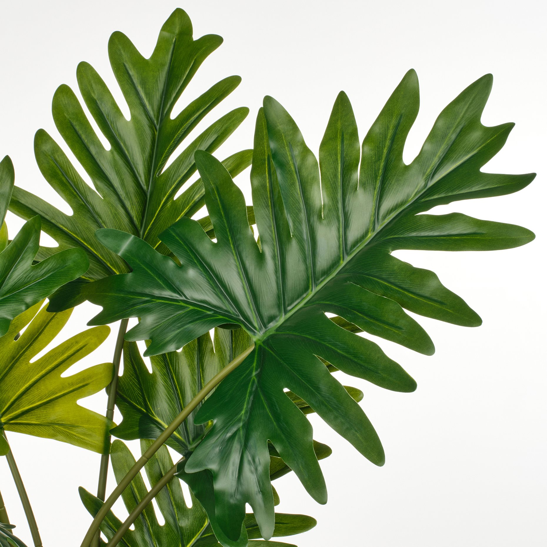 FEJKA, τεχνητό φυτό σε γλάστρα εσωτερικού/εξωτερικού χώρου/Φιλόδεντρο ζαναντού, 19 cm, 706.008.62