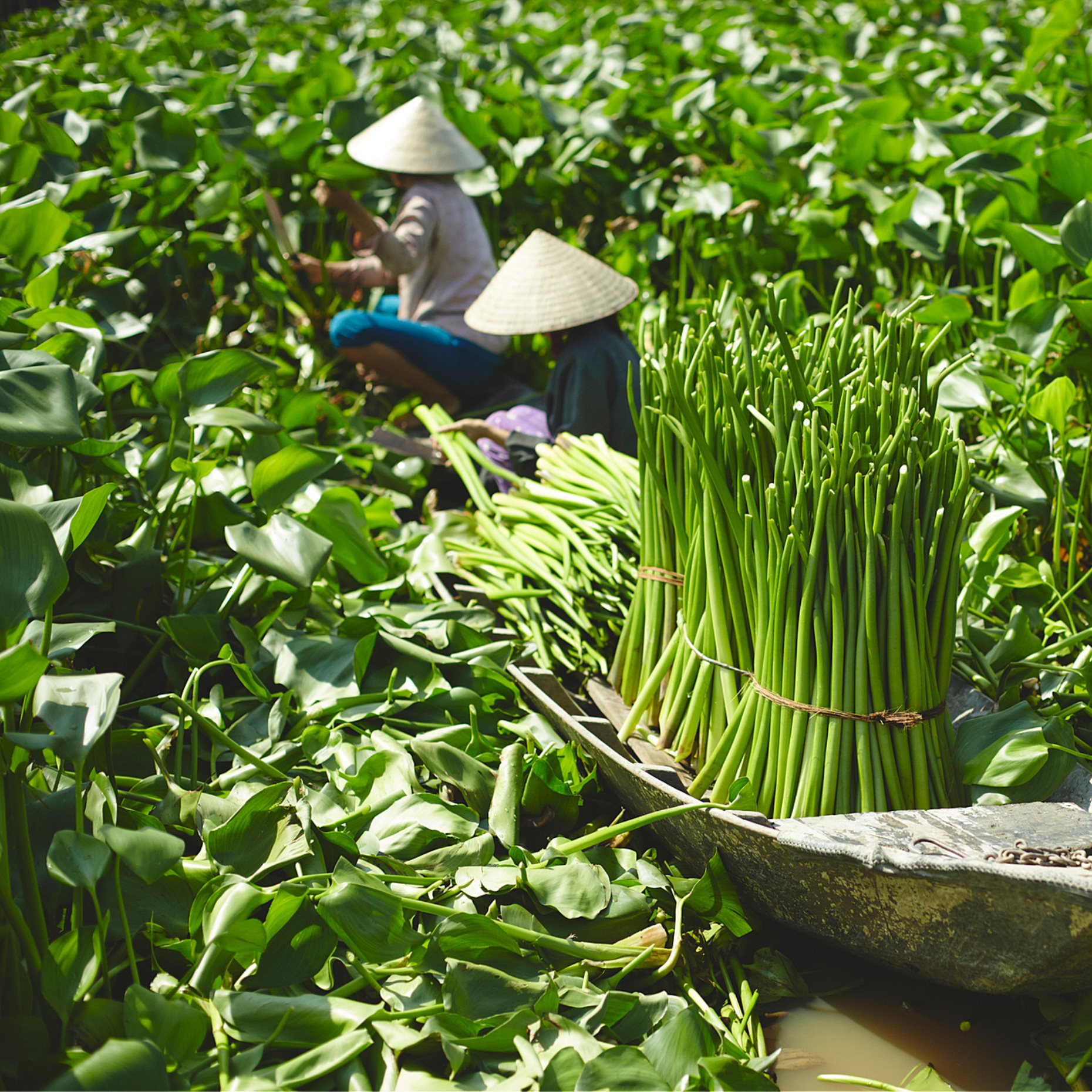 LABBSAL, καλάθι χειροποίητο, 32x34x32 cm, 805.007.96