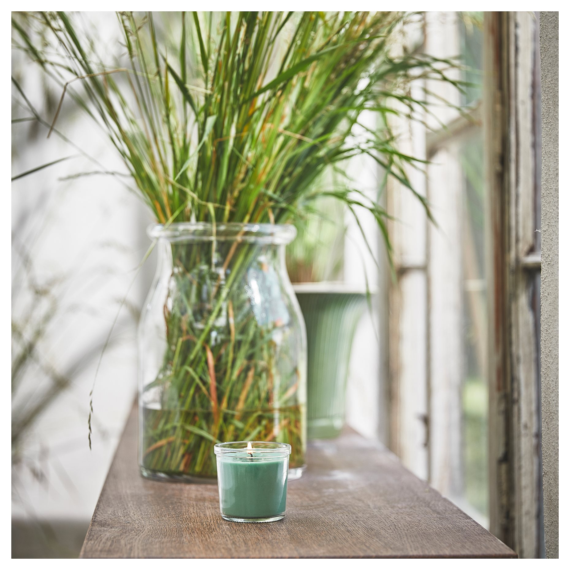 HEDERSAM, αρωματικό κερί σε ποτήρι/γρασίδι, 20 ώρες, 805.023.66