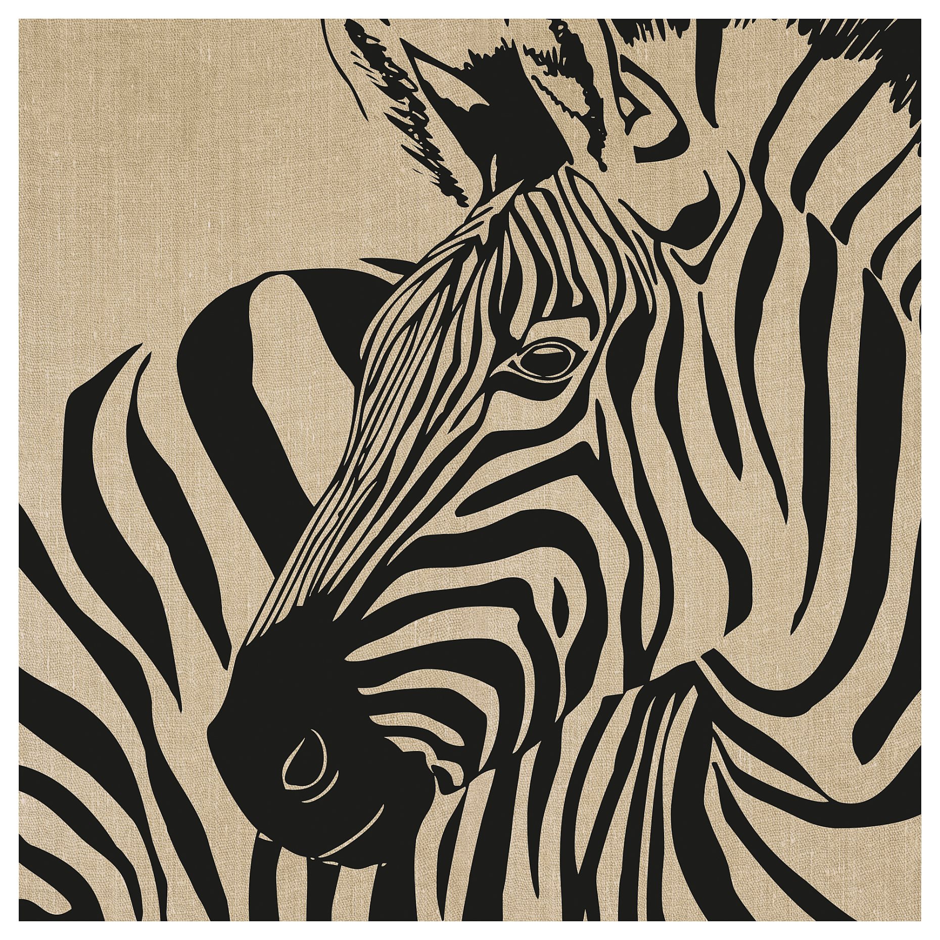 PJÄTTERYD, picture/rustic zebra, 56x56 cm, 805.907.54