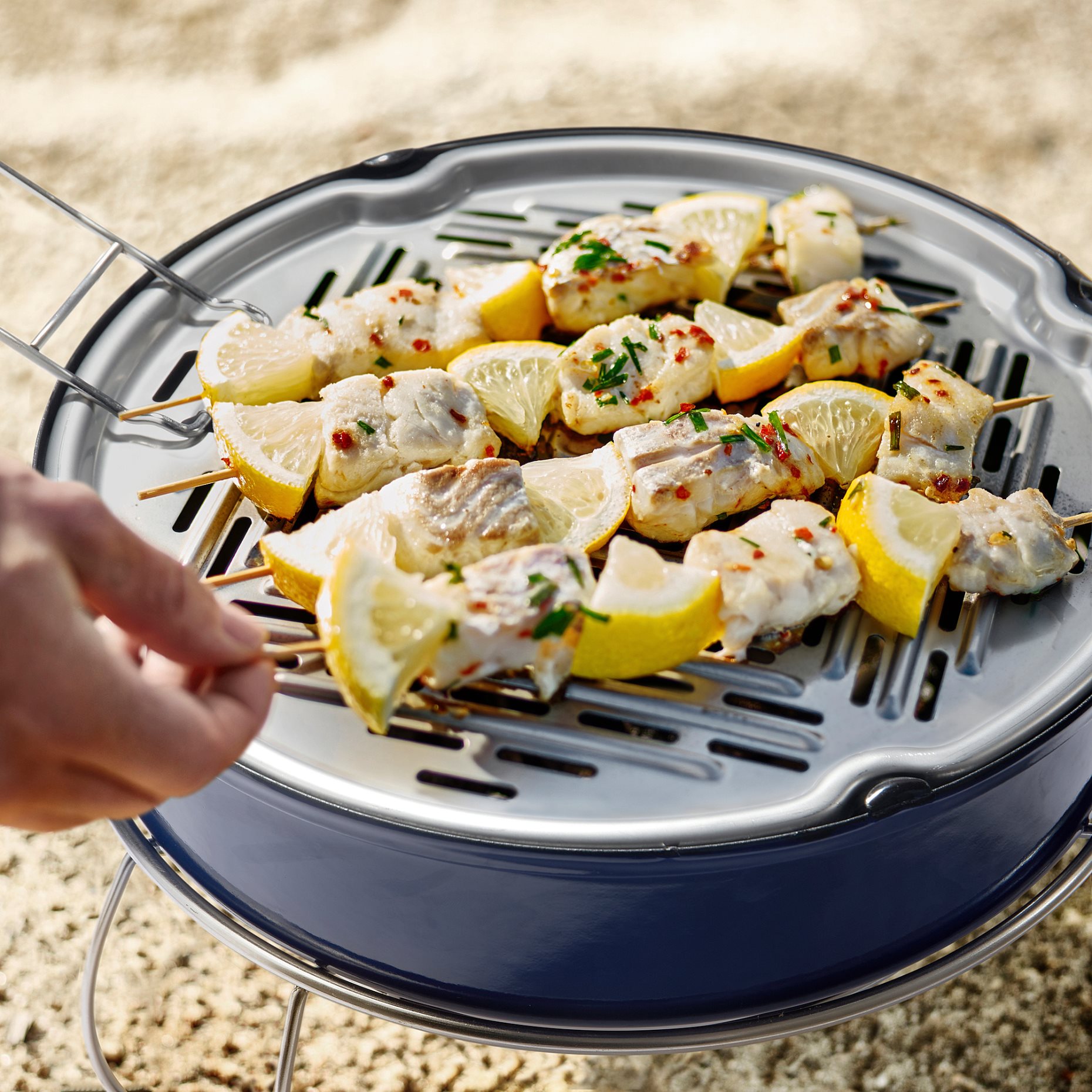 STRANDÖN, barbecue/charcoal, 805.910.94