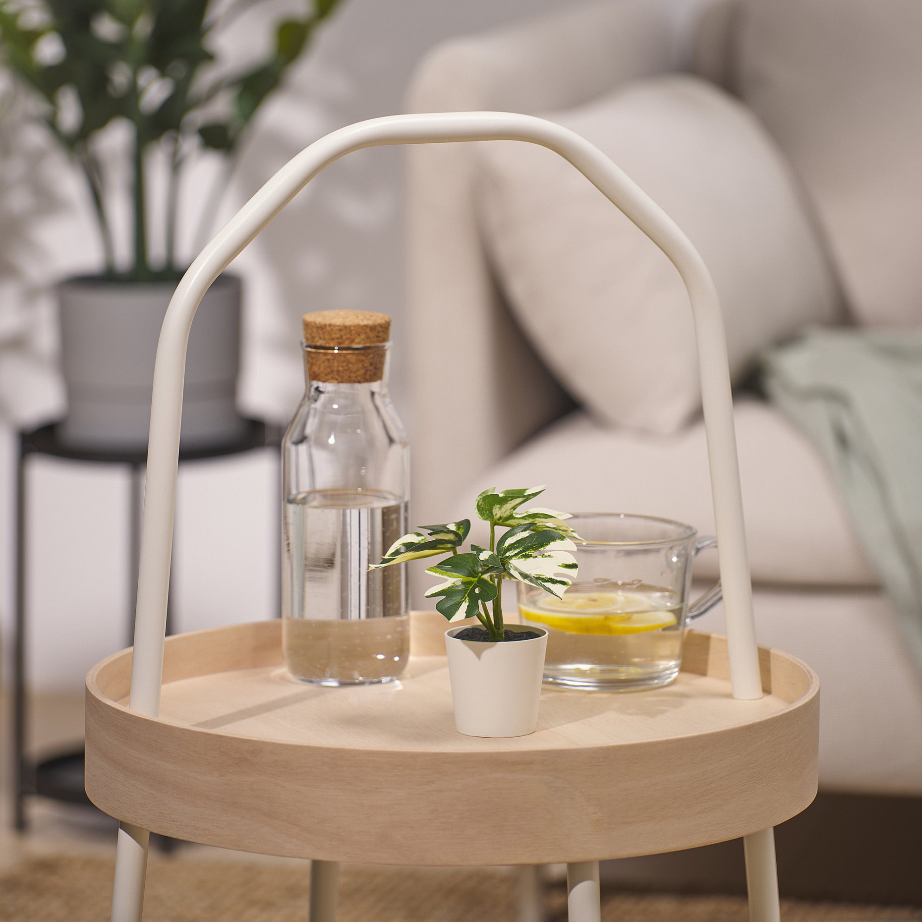 FEJKA, τεχνητό φυτό σε γλάστρα εσωτερικού/εξωτερικού χώρου/Mονστέρα, 6 cm, 805.932.05