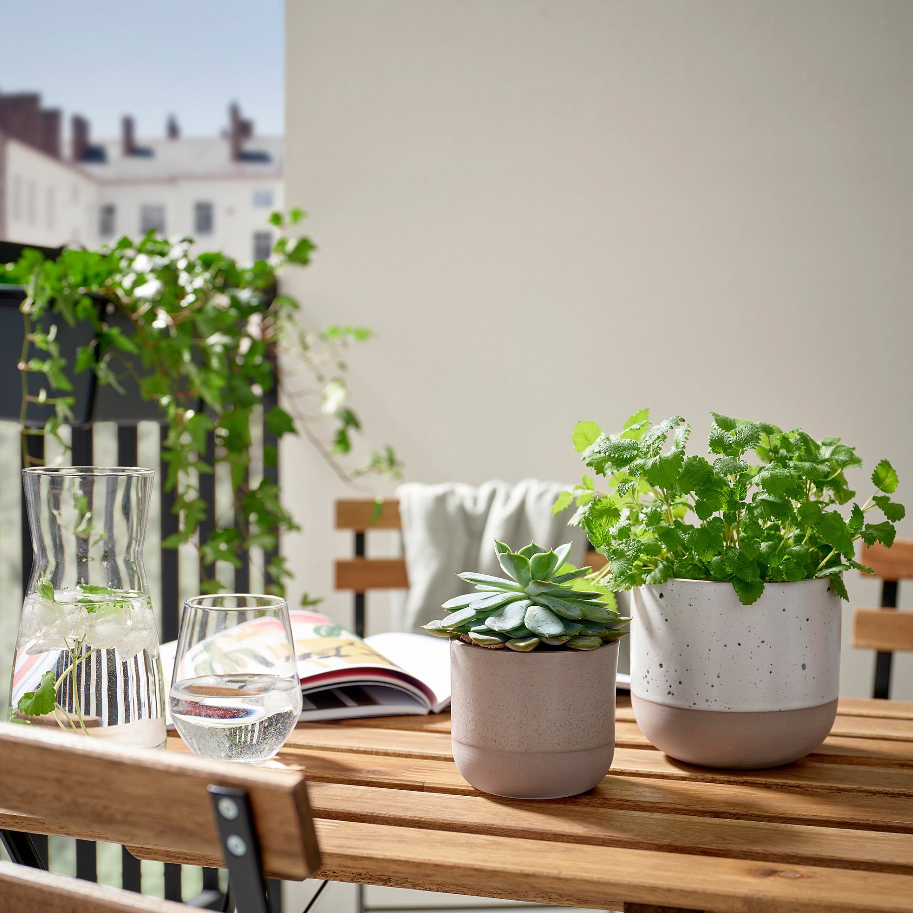 BUSKKAPRIFOL, κασπό εσωτερικού/εξωτερικού χώρου, 9 cm, 805.958.98