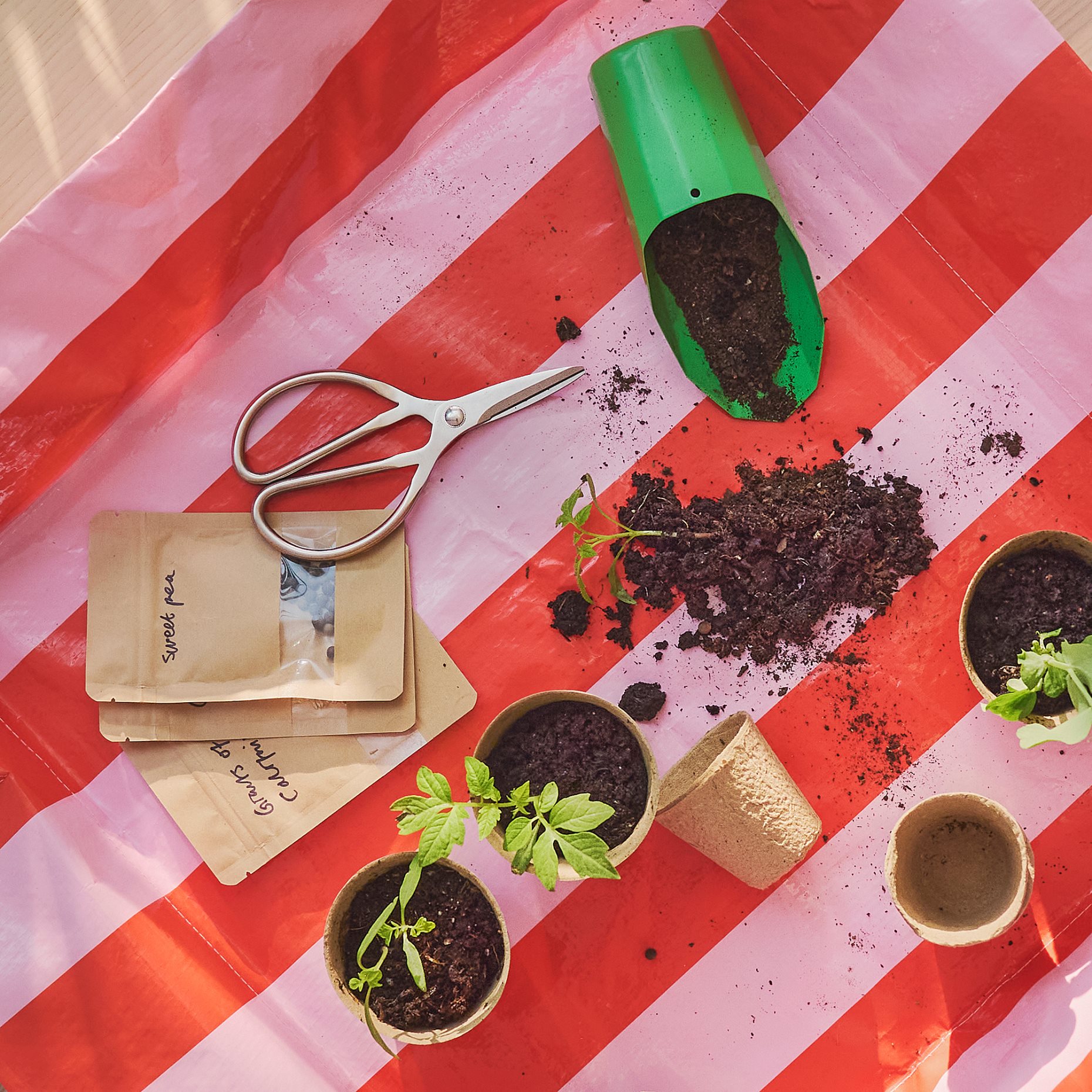 BRYTBÖNA, ψαλίδι, 16 cm, 806.119.35