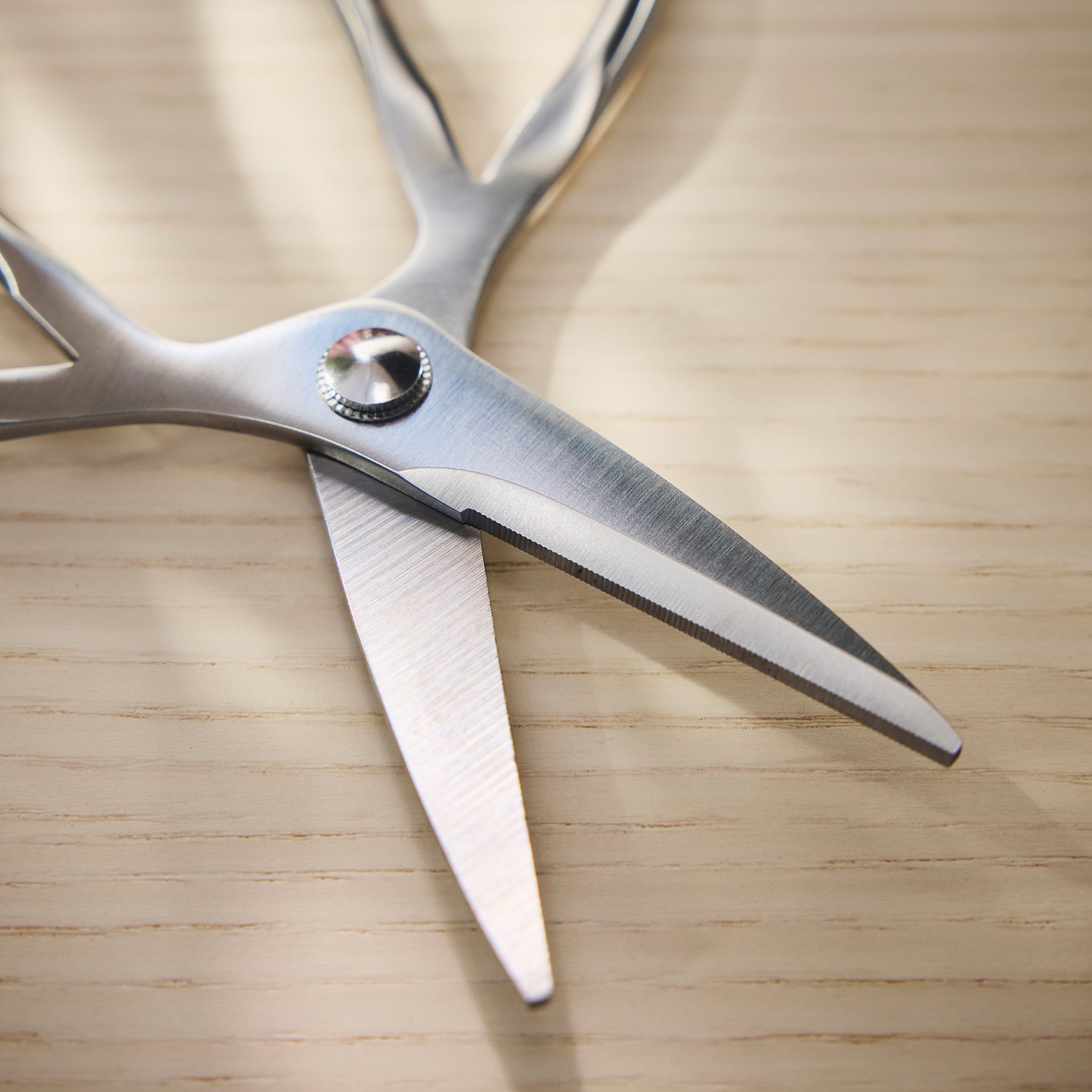 BRYTBÖNA, ψαλίδι, 16 cm, 806.119.35