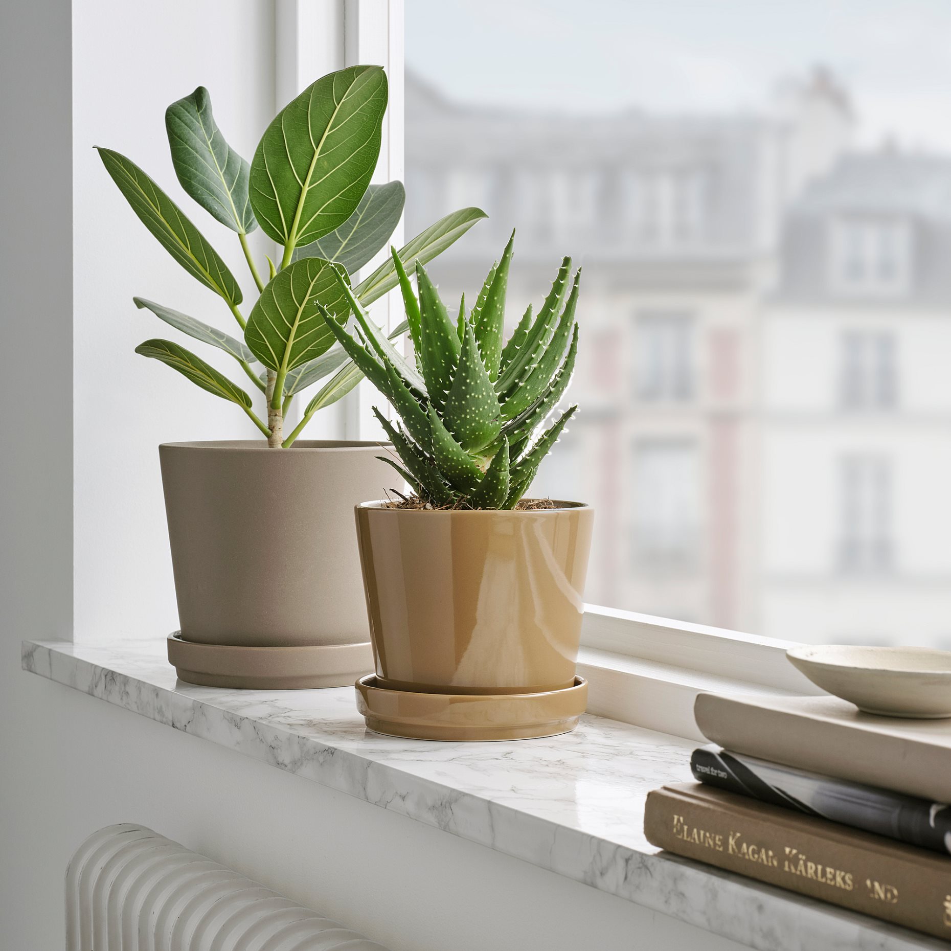 CITRUSFRUKT, κασπό με πιάτο εσωτερικού/εξωτερικού χώρου, 12 cm, 905.515.73