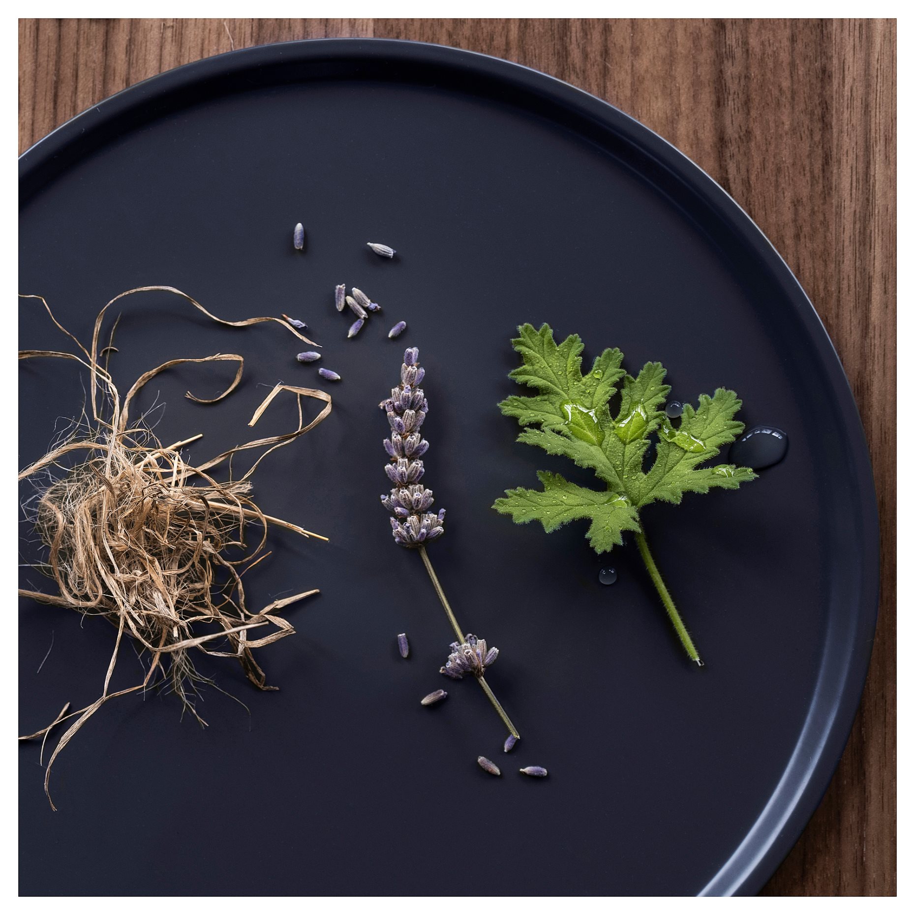 FRUKTSKOG, scented candle in glass/Vetiver & geranium, 40 hr, 905.558.30