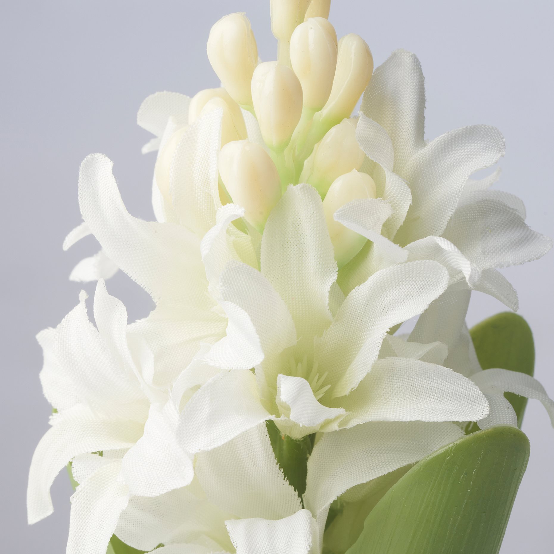 VINTERFINT, τεχνητό λουλούδι/Υάκινθος, 22 cm, 905.637.07