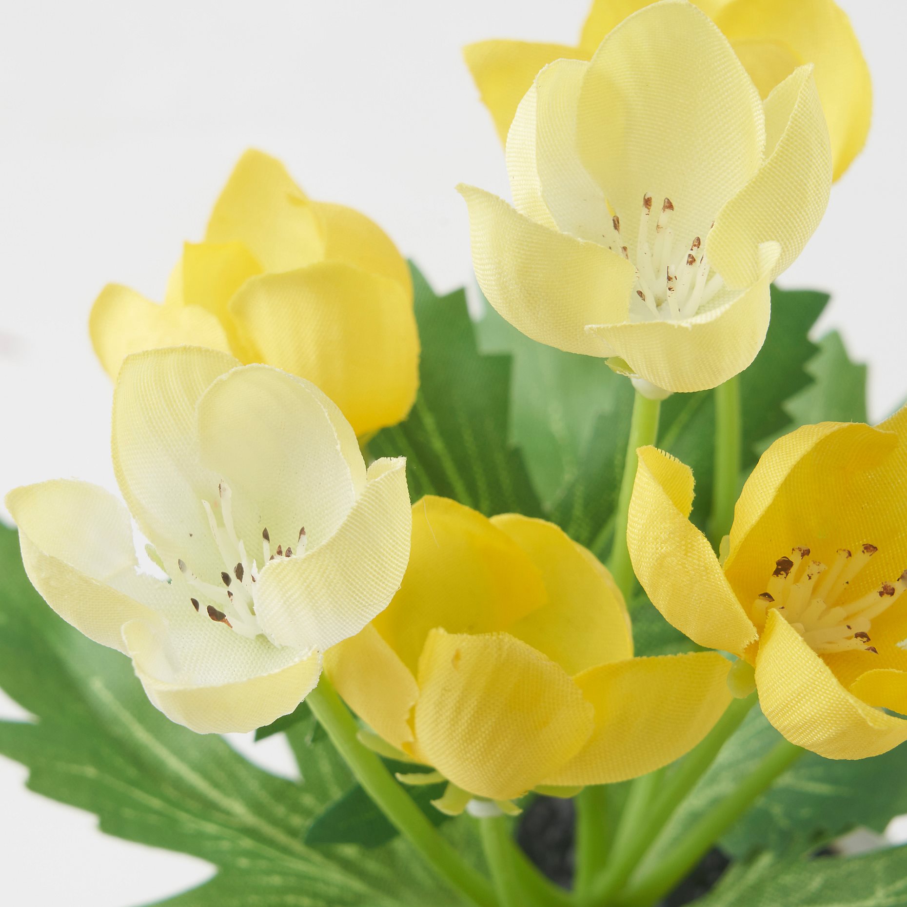 FEJKA, artifi potted plant with pot/in/outdoor/set of 3, 6 cm, 905.716.70