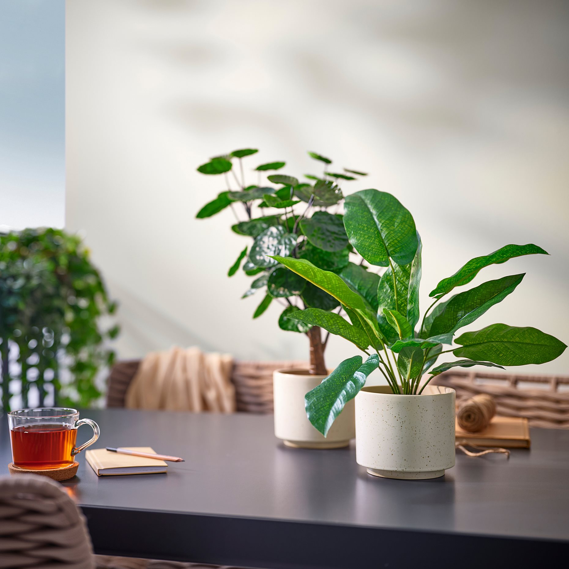 SANDKÖRSBÄR, κασπό εσωτερικού/εξωτερικού χώρου, 12 cm, 906.218.25