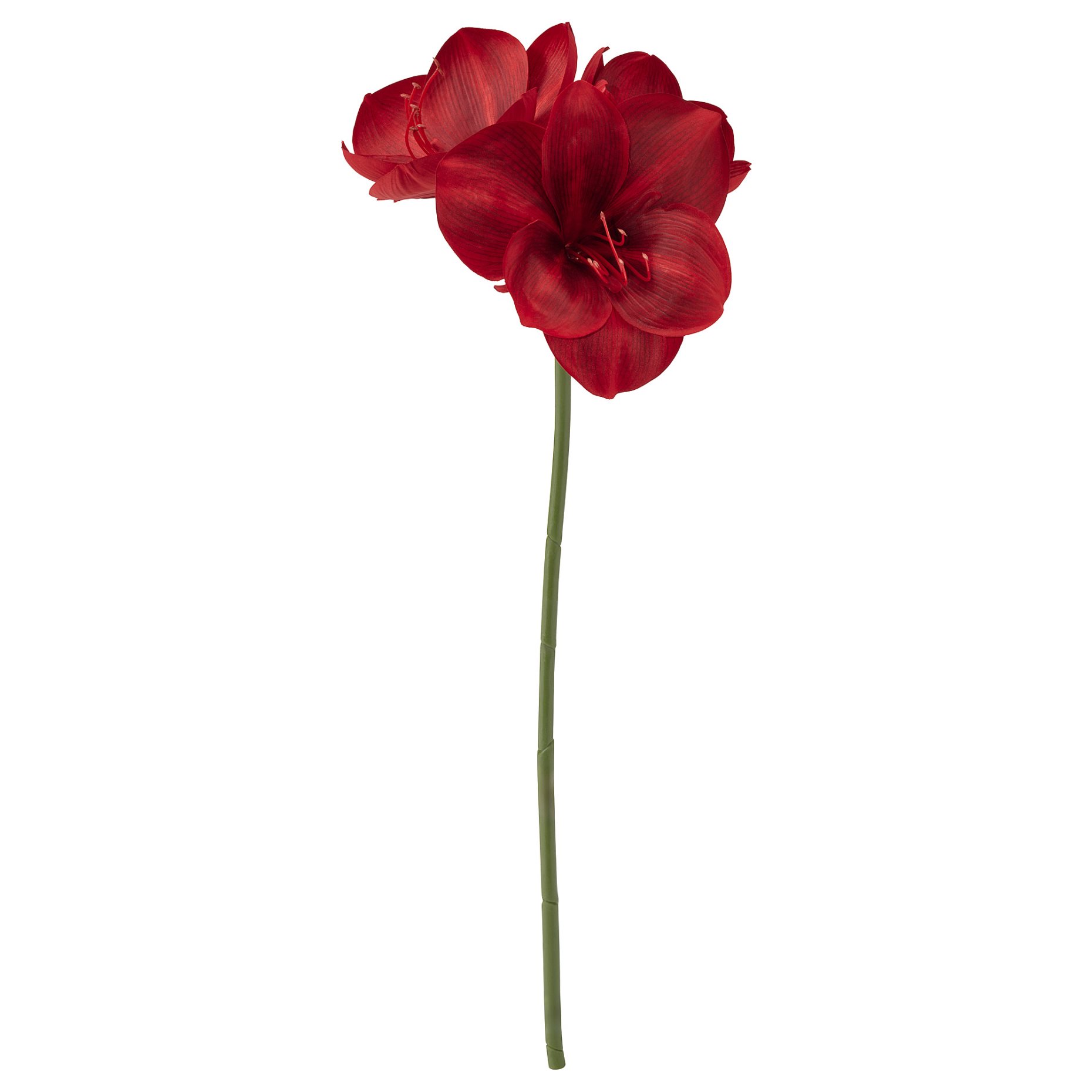 VINTERFINT, artificial flower in/outdoor/Amaryllis, 60 cm, 906.365.15