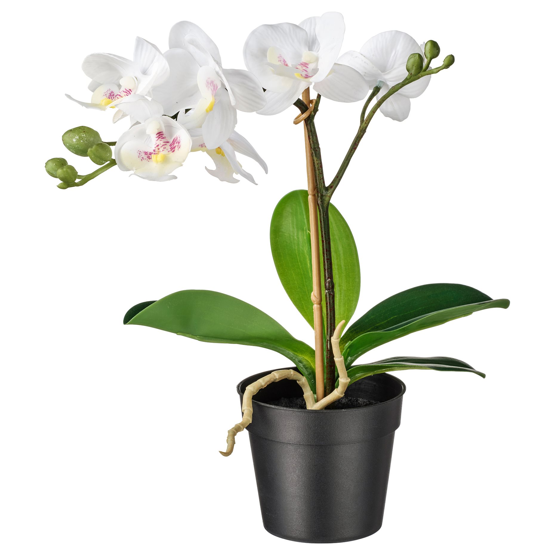 FEJKA, artificial potted plant, Orchid, 002.859.08