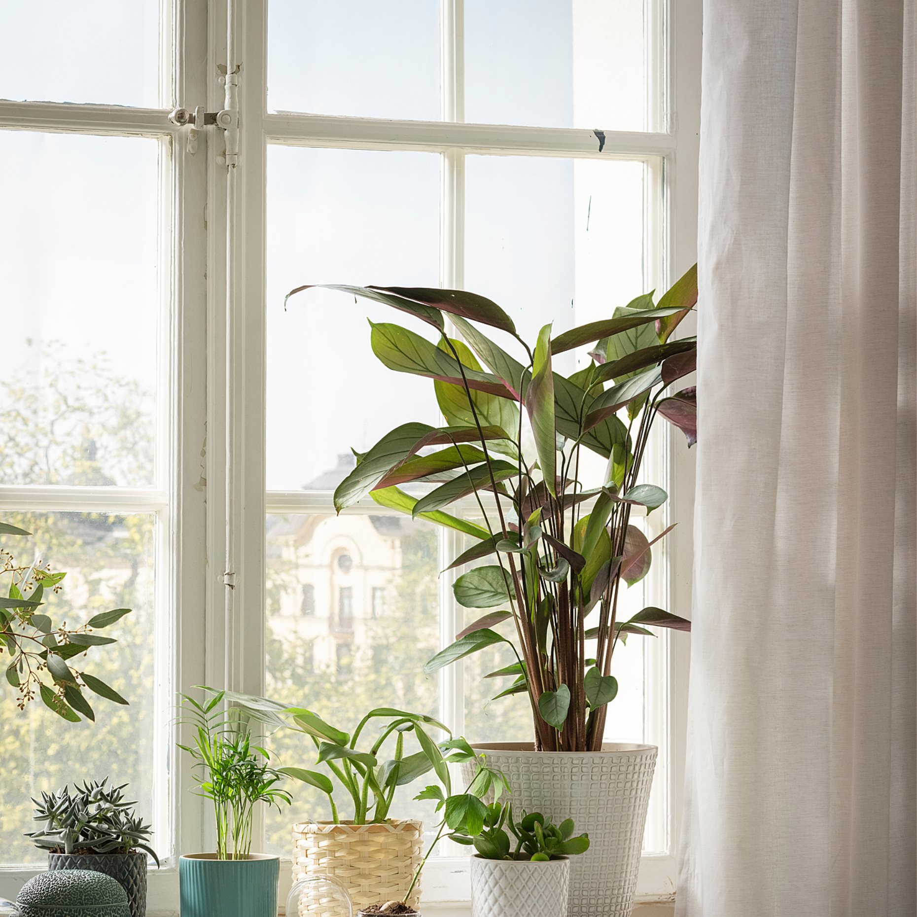 CHIAFRÖN, plant pot, 004.419.04