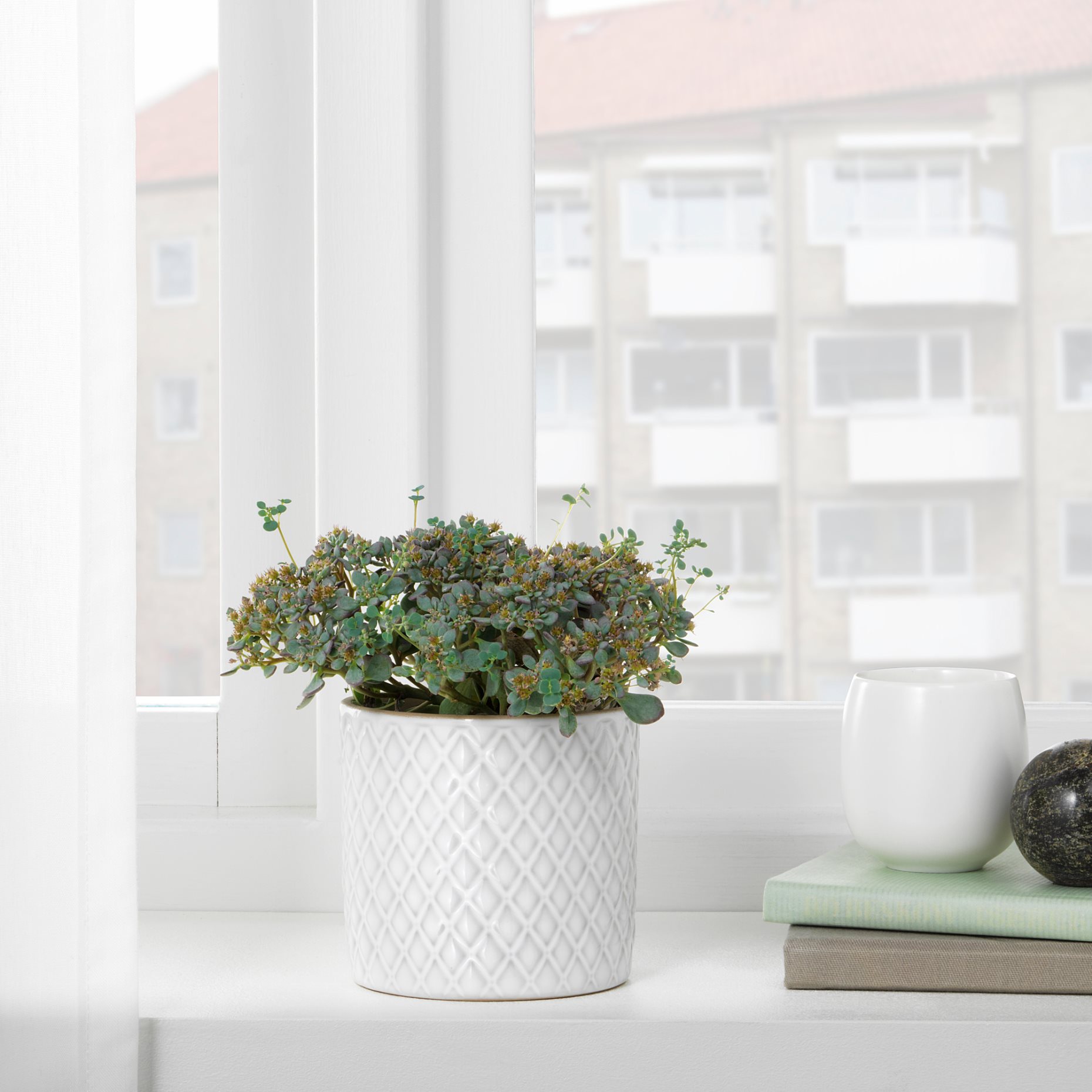 CHIAFRÖN, plant pot, 004.419.04