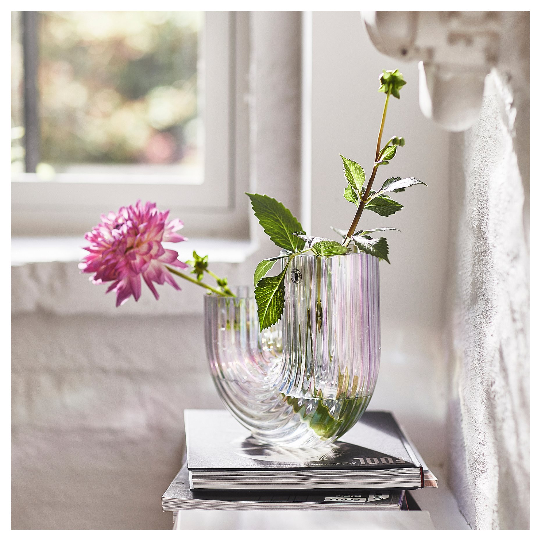 RÄFFELBJÖRK, vase, 20 cm, 005.376.52