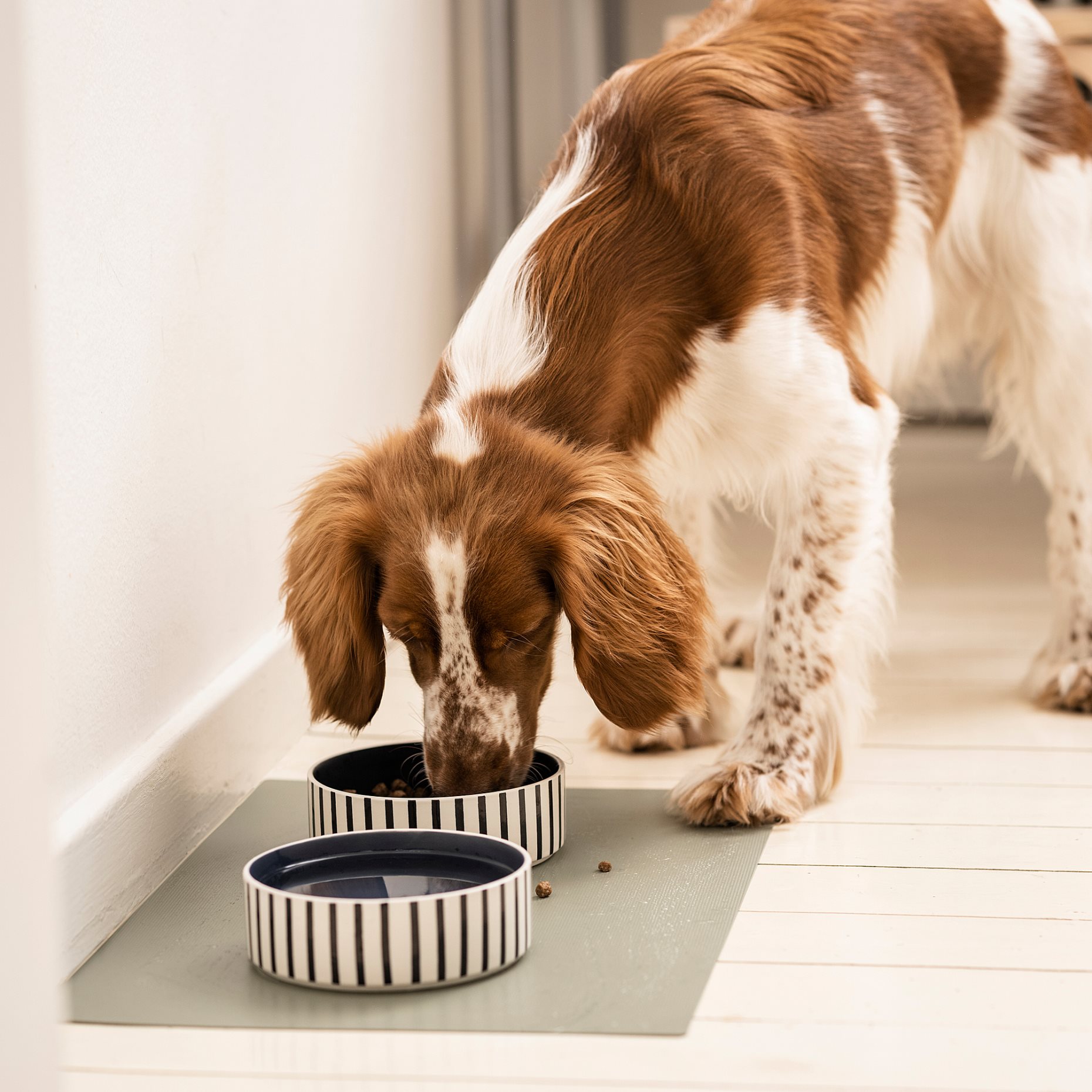 UTSADD, place mat for food bowl, 33x50 cm, 005.692.14