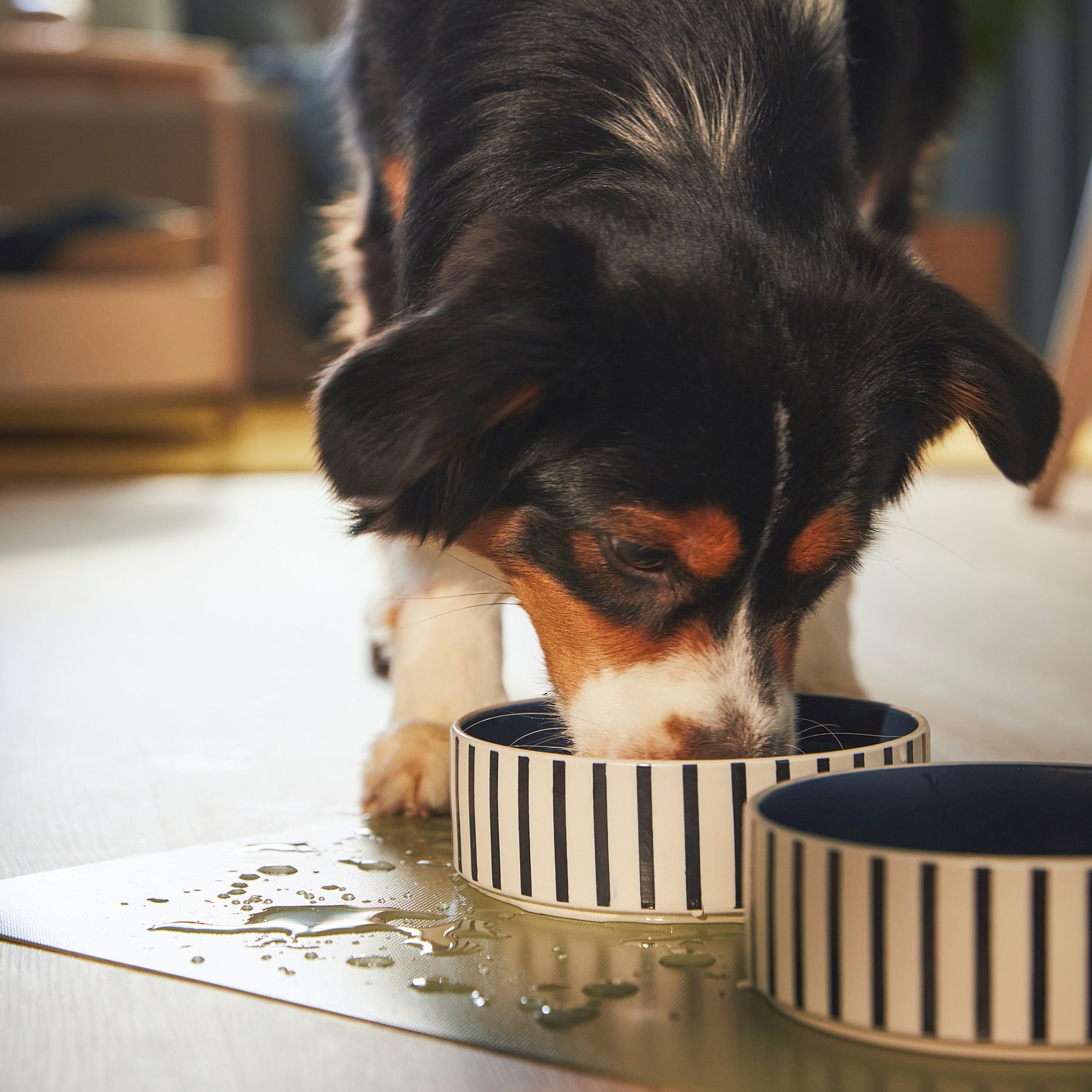 UTSADD, place mat for food bowl, 33x50 cm, 005.692.14