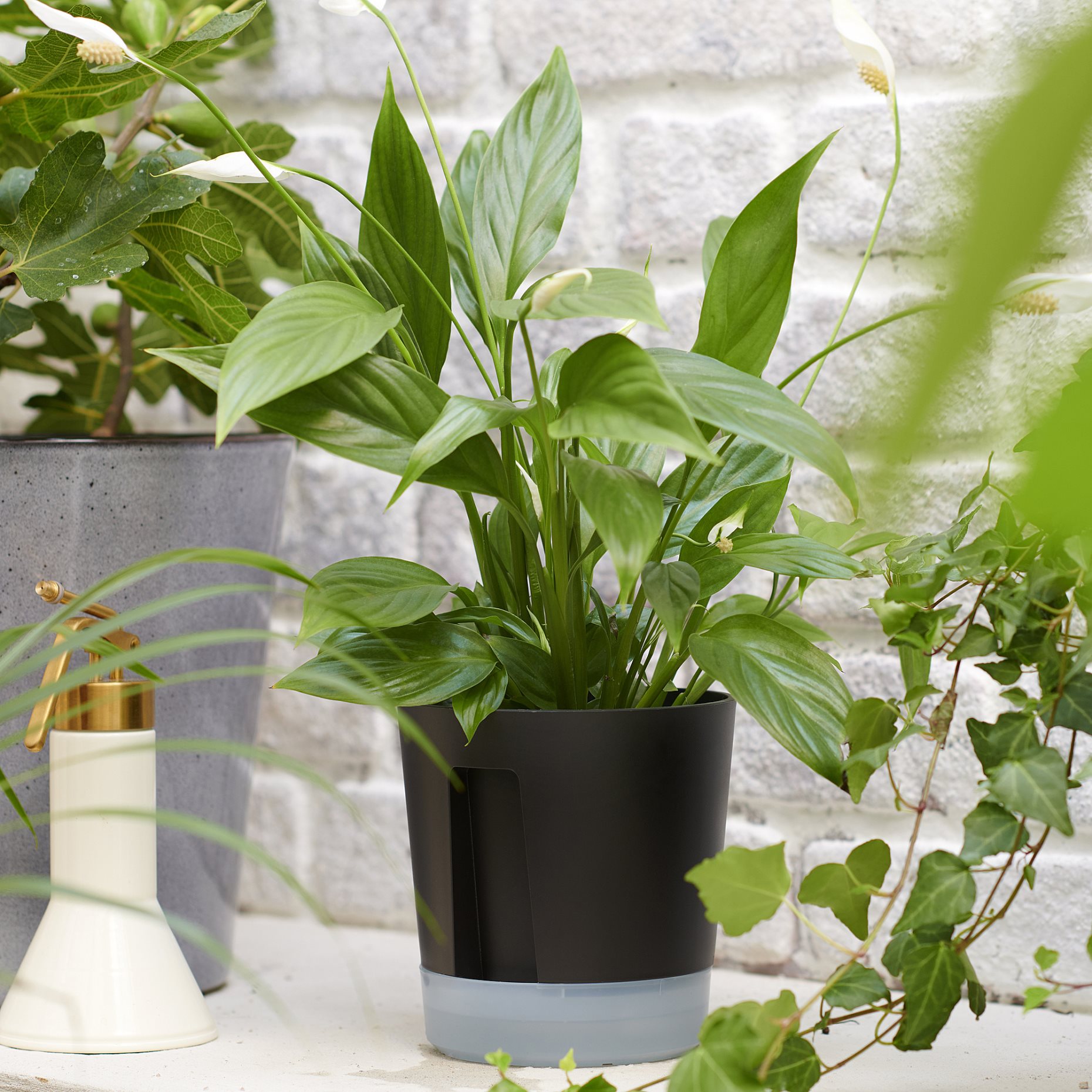 VÅRDTRÄD, self-watering plant pot in/outdoor, 12 cm, 005.708.68