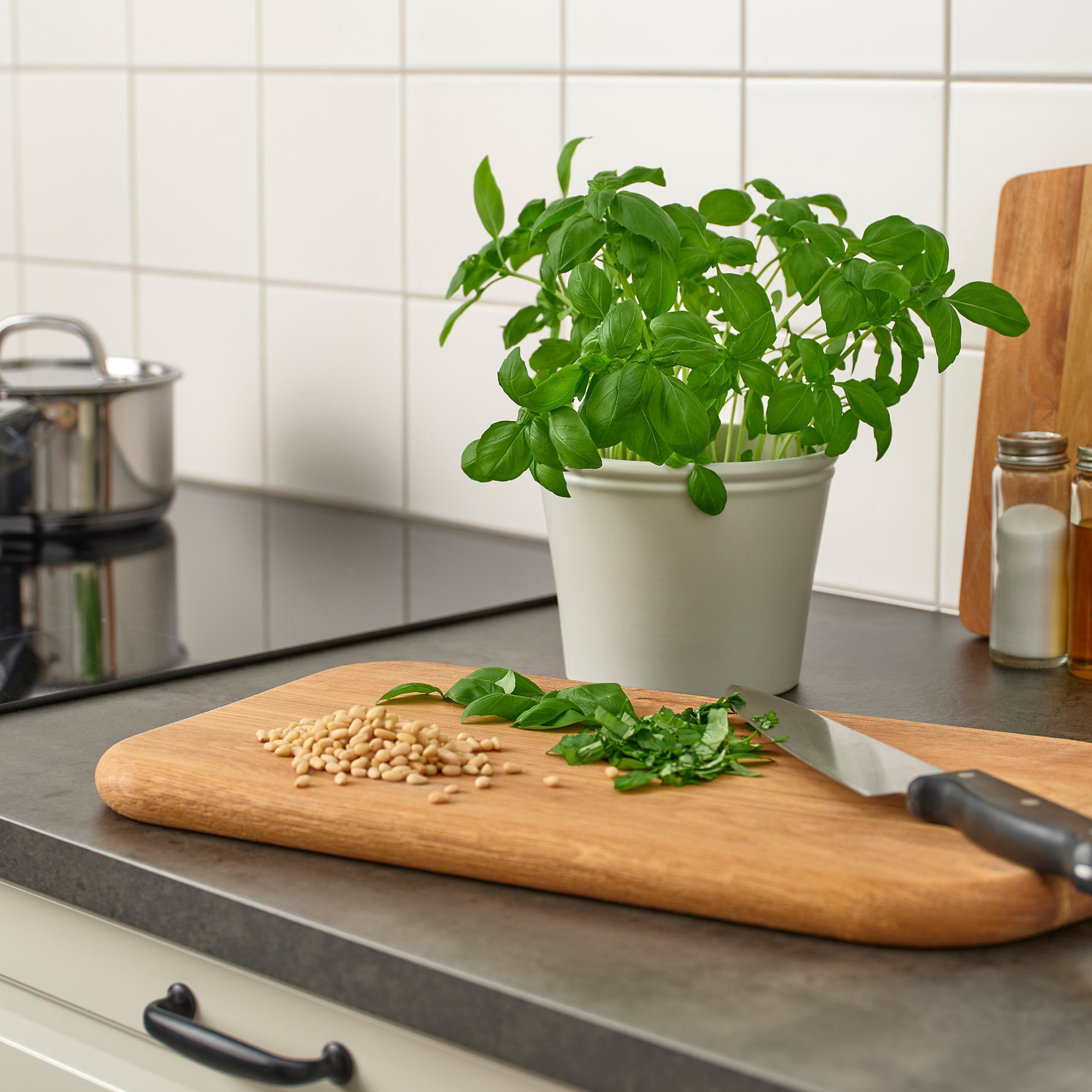 KÖRSBÄRSBJÖRK, plant pot, 12 cm, 005.917.19
