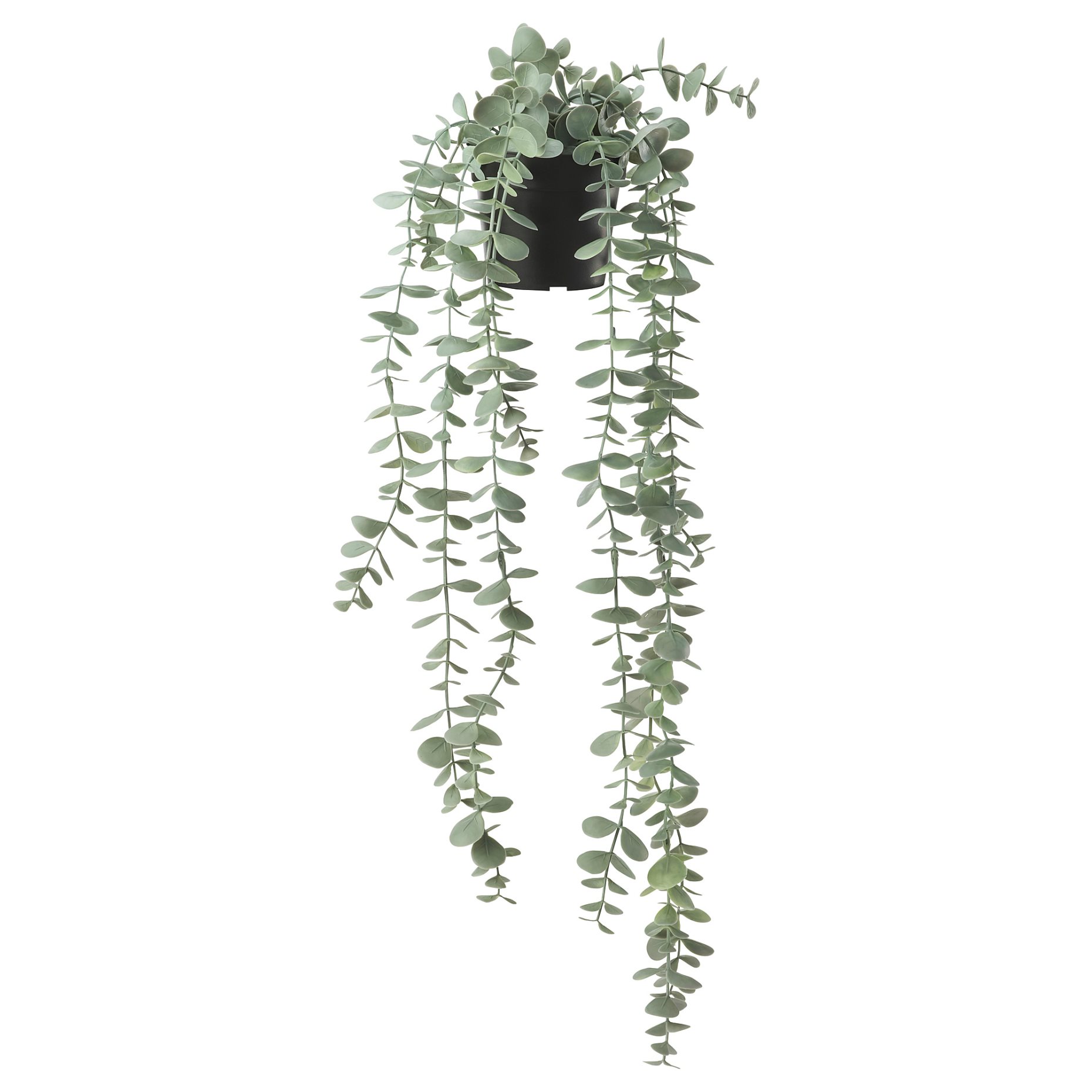 FEJKA, artificial potted plant in/outdoor hanging/eucalyptus, 9 cm, 006.152.49