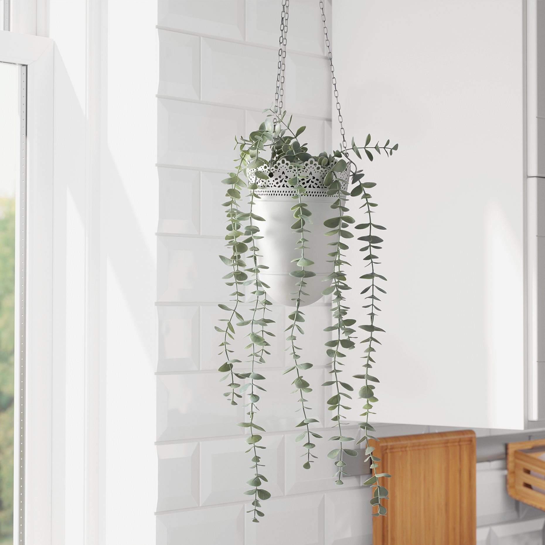 FEJKA, artificial potted plant in/outdoor hanging/eucalyptus, 9 cm, 006.152.49