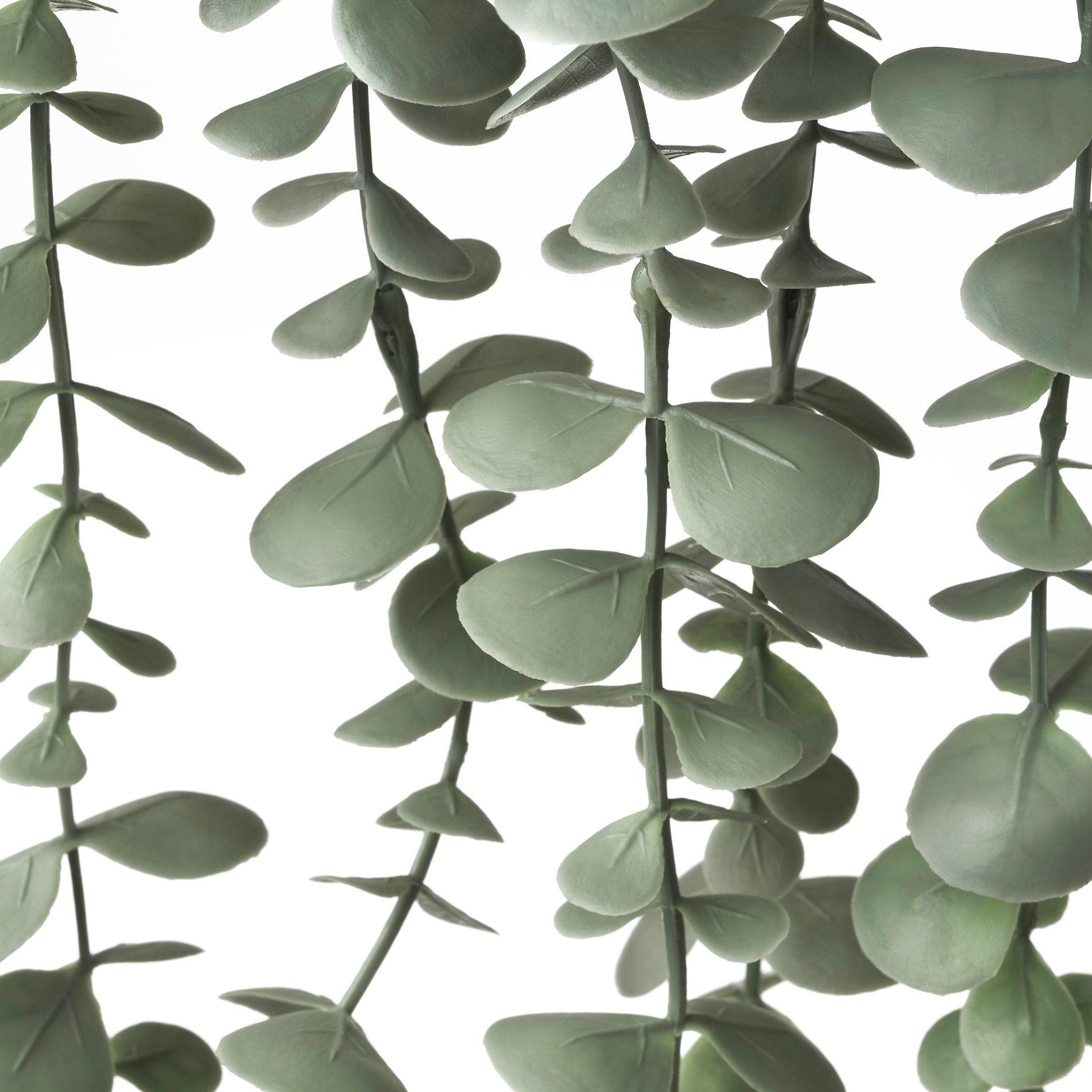 FEJKA, artificial potted plant in/outdoor hanging/eucalyptus, 9 cm, 006.152.49