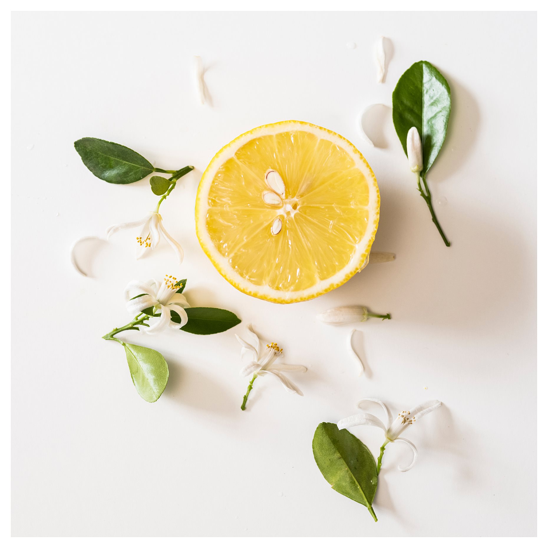 MORKULLA, scented candle in glass, 2 wicks/Citrus flower, 22 hr, 006.195.96