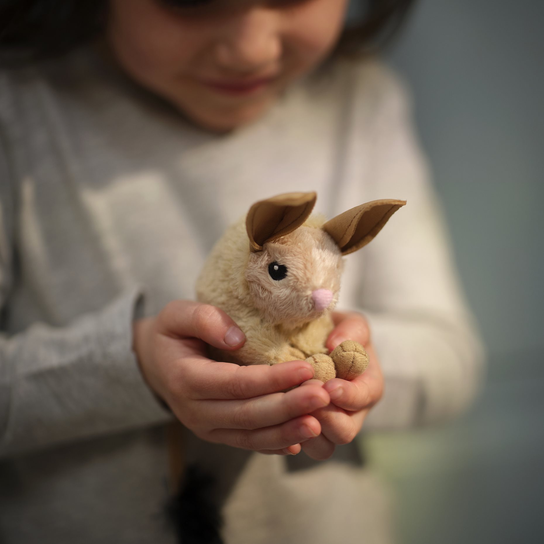 ALPTALL, soft toy/Long-eared jerboa, 9 cm, 006.206.46