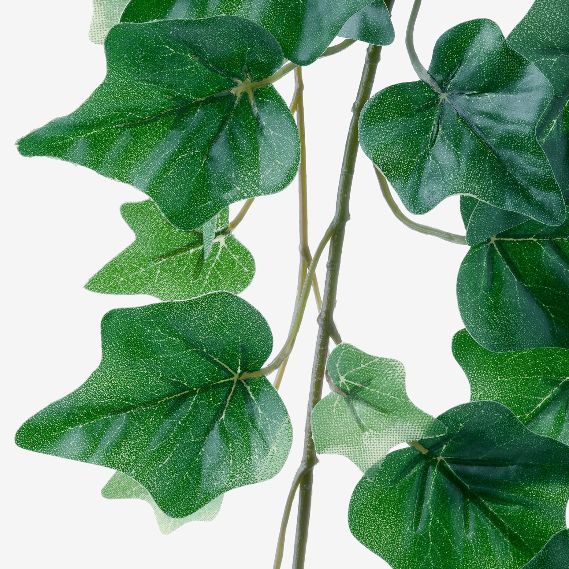 FEJKA, artificial potted plant in/outdoor/hanging Ivy, 12 cm, 104.611.47