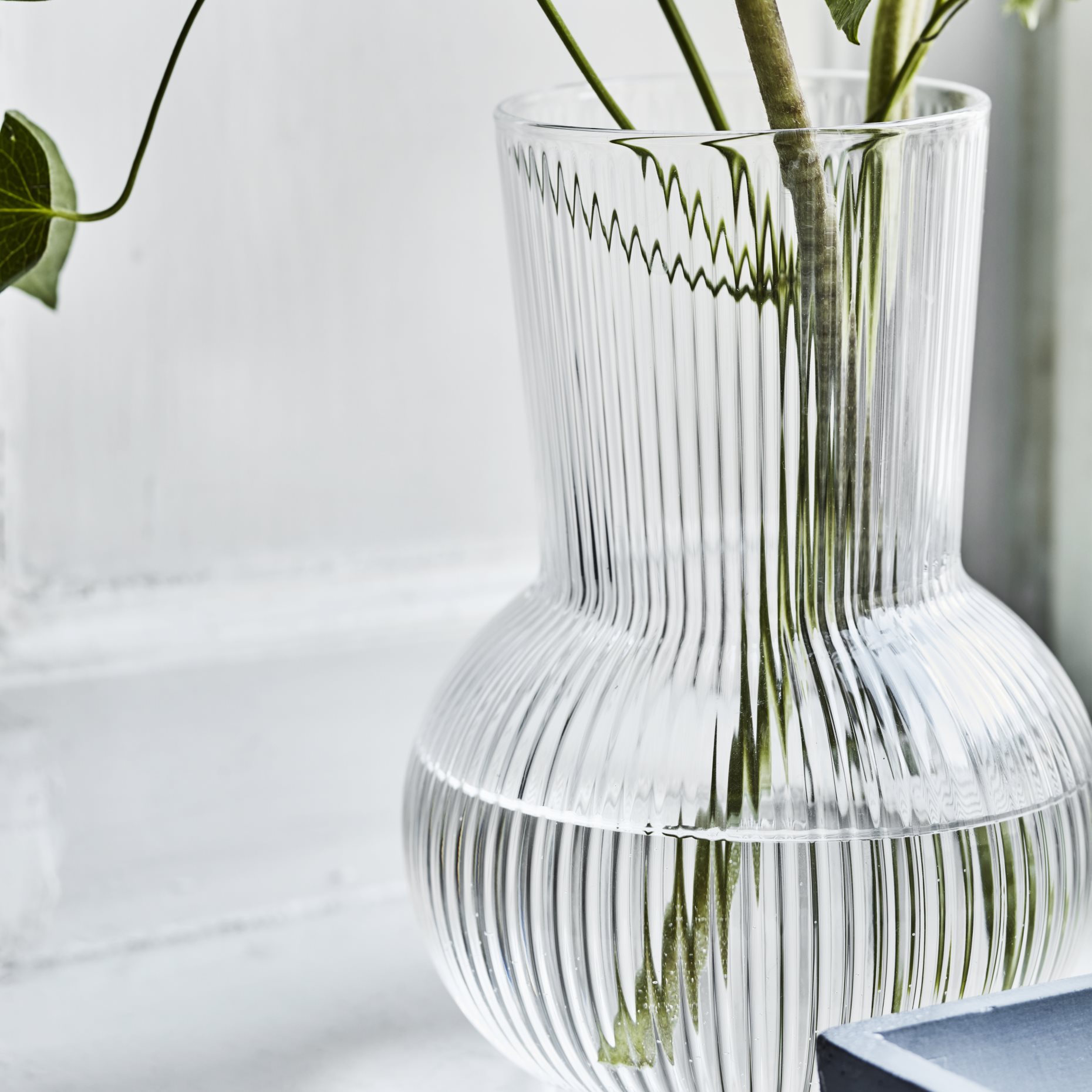 PÅDRAG, vase, 17 cm, 104.709.91