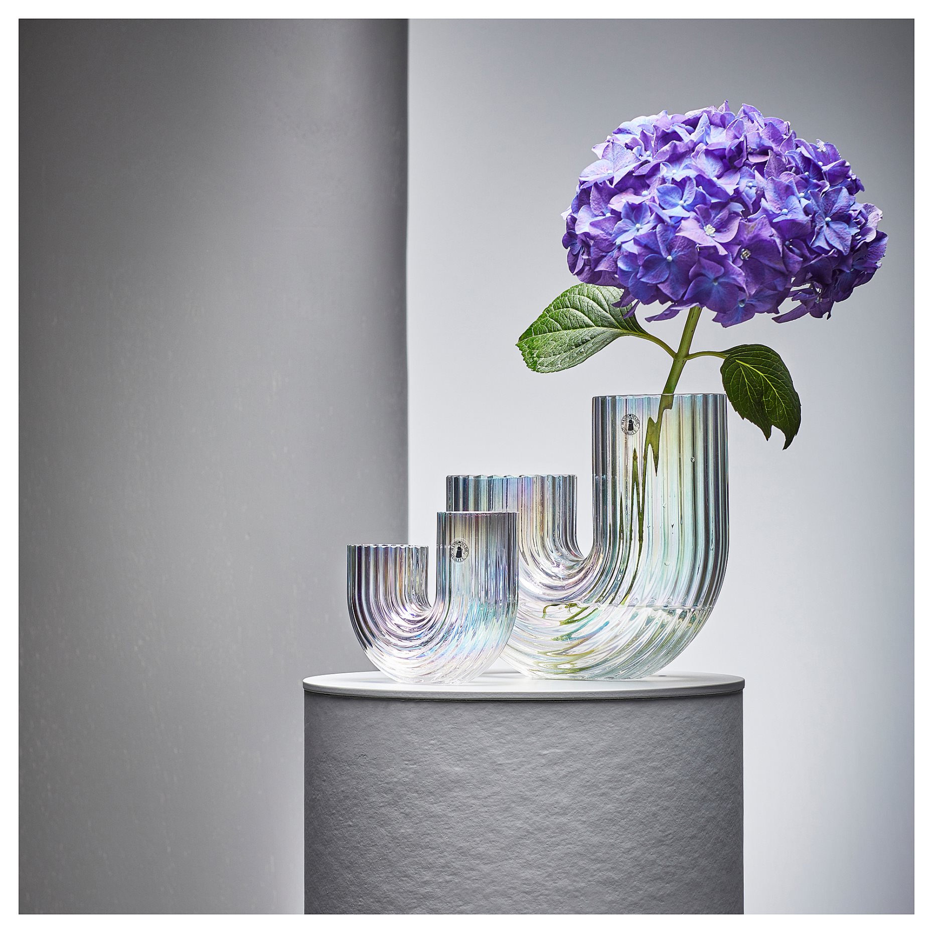 RÄFFELBJÖRK, βάζο, 12 cm, 105.376.56