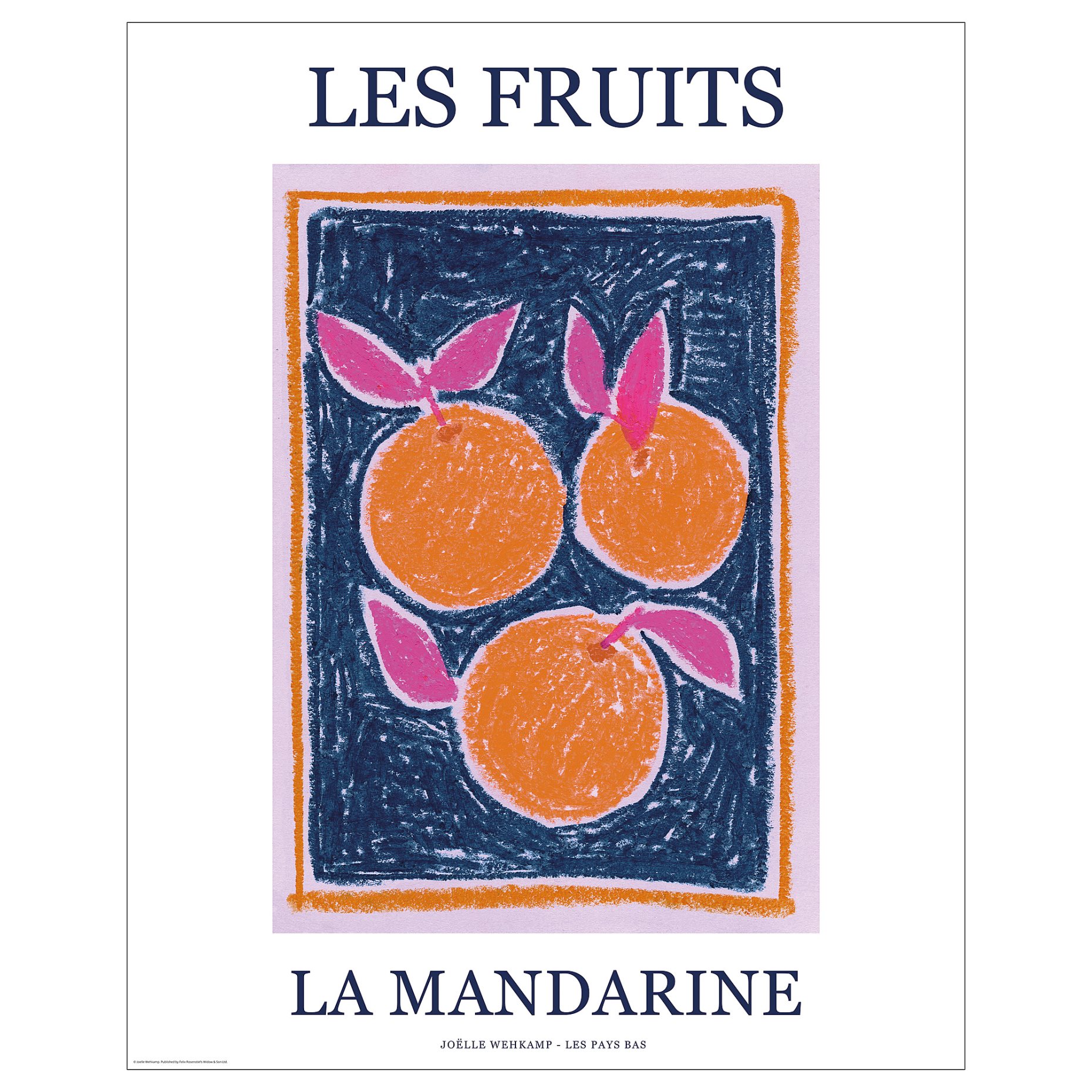 BILD, poster/les fruits, 40x50 cm, 106.019.87