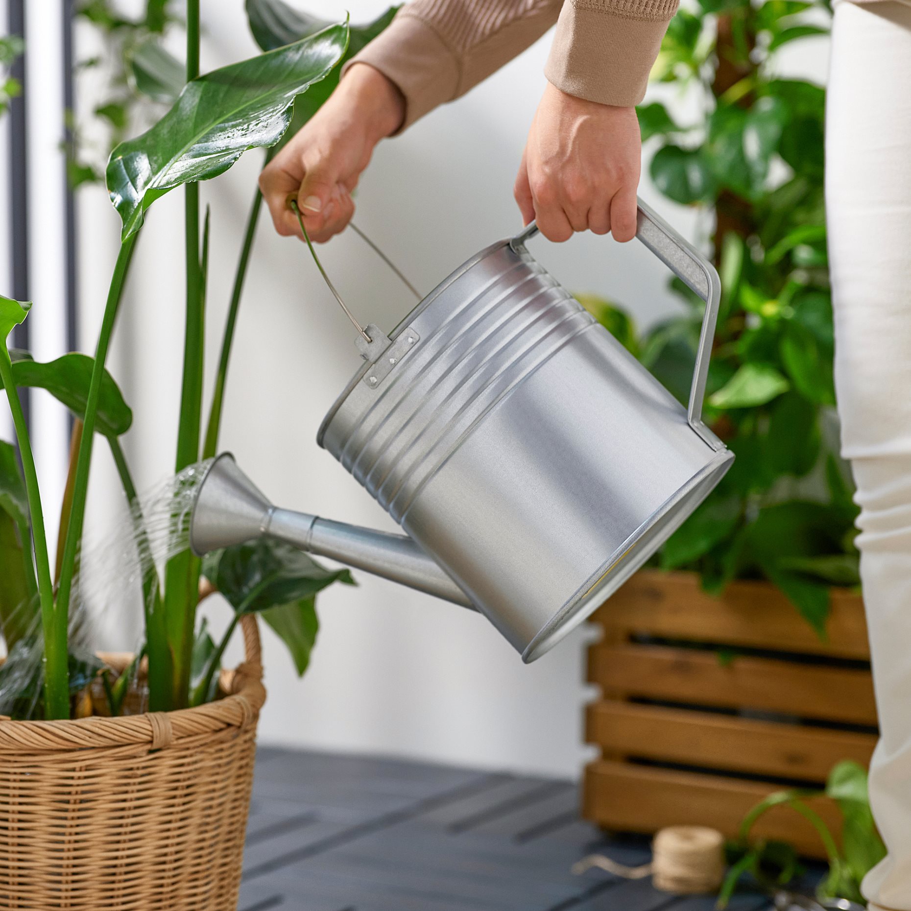 KORKGRAN, watering can in/outdoor,  5 l, 106.119.86