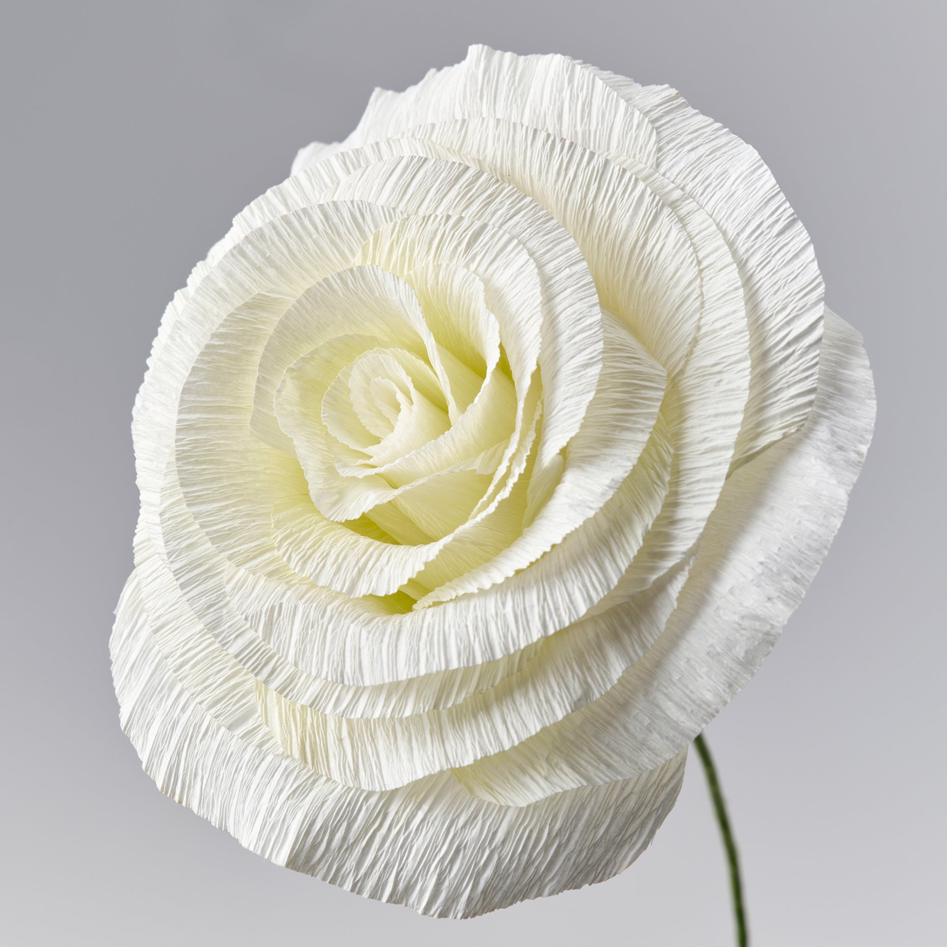 GULDSPETT, artificial flower/Rose, 50 cm, 106.149.61
