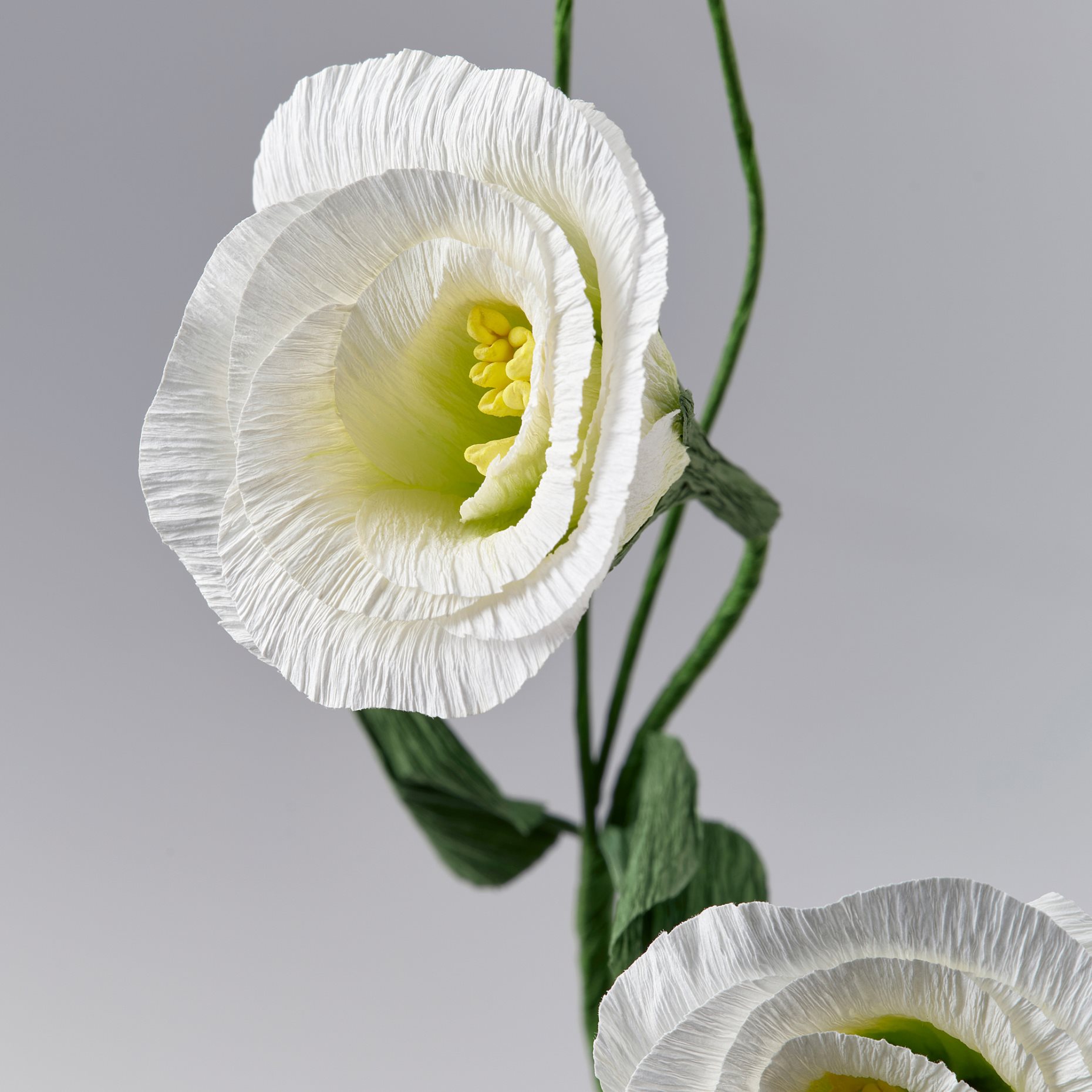 GULDSPETT, artificial flower/lisianthus, 55 cm, 106.149.75