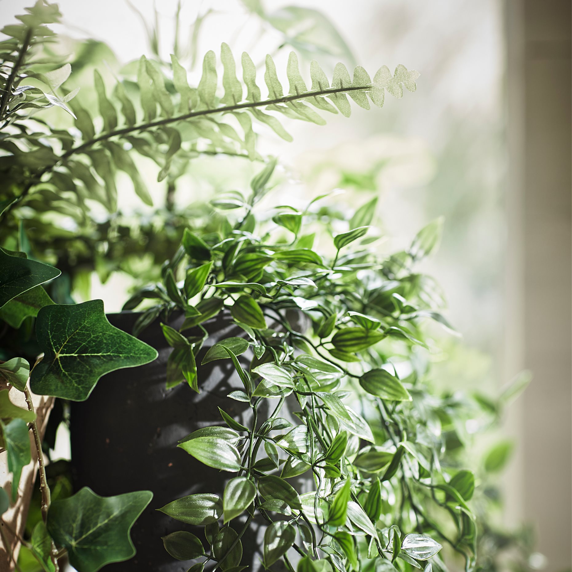 FEJKA, artificial potted plant in/outdoor hanging, 9 cm, 106.152.58