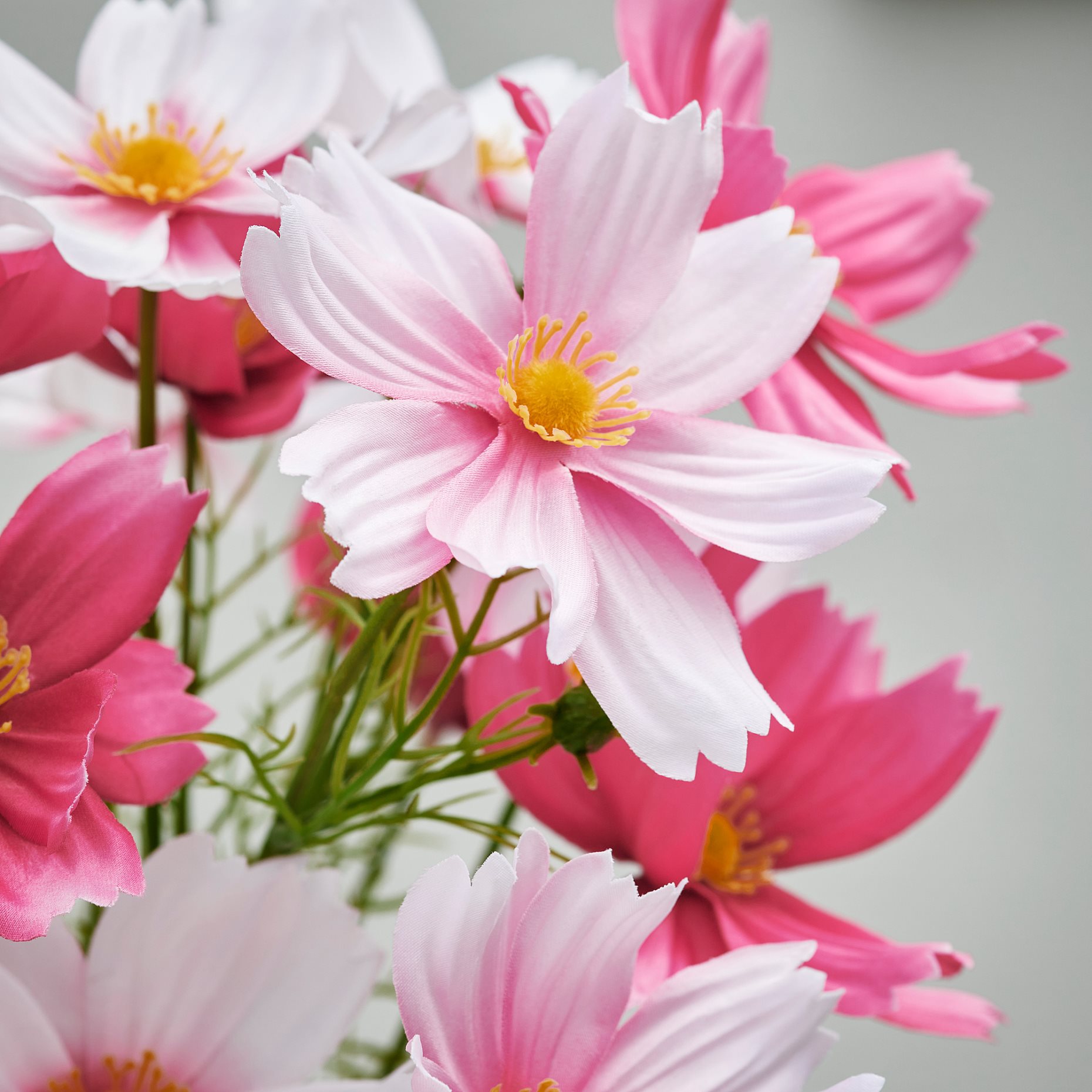 SMYCKA, artificial bouquet in/outdoor/cosmos, 50 cm, 106.176.72