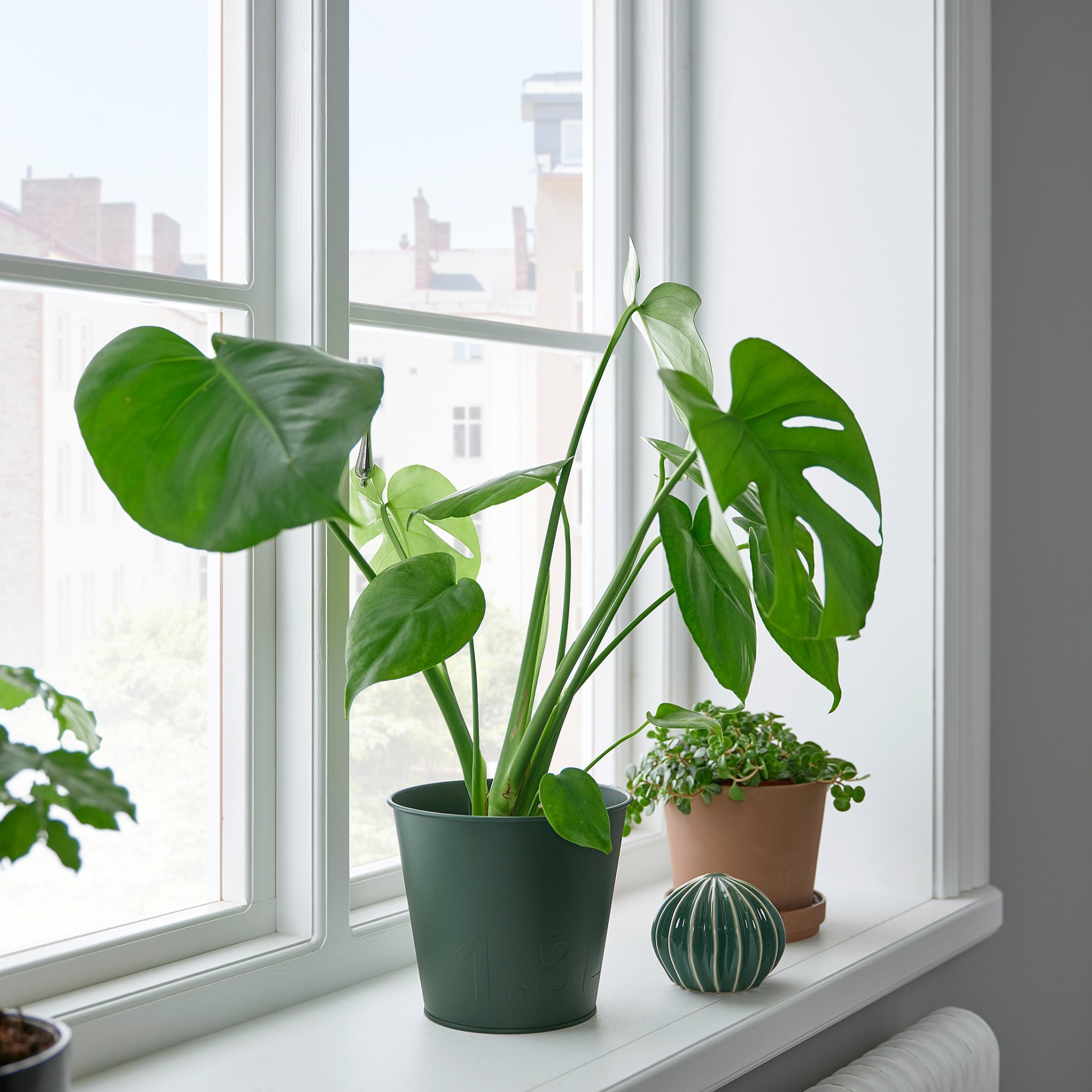 ÅKERBÄR, plant pot/in/outdoor, 15 cm, 205.627.68