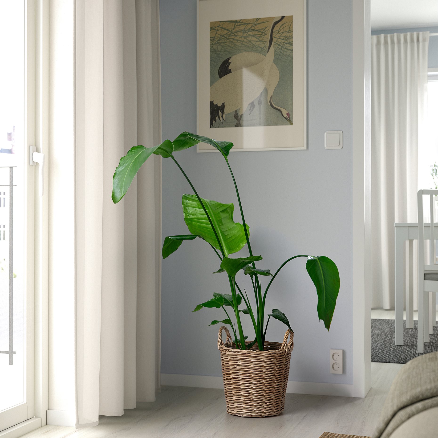 FLODBJÖRK, plant pot in/outdoor, 24 cm, 206.120.61