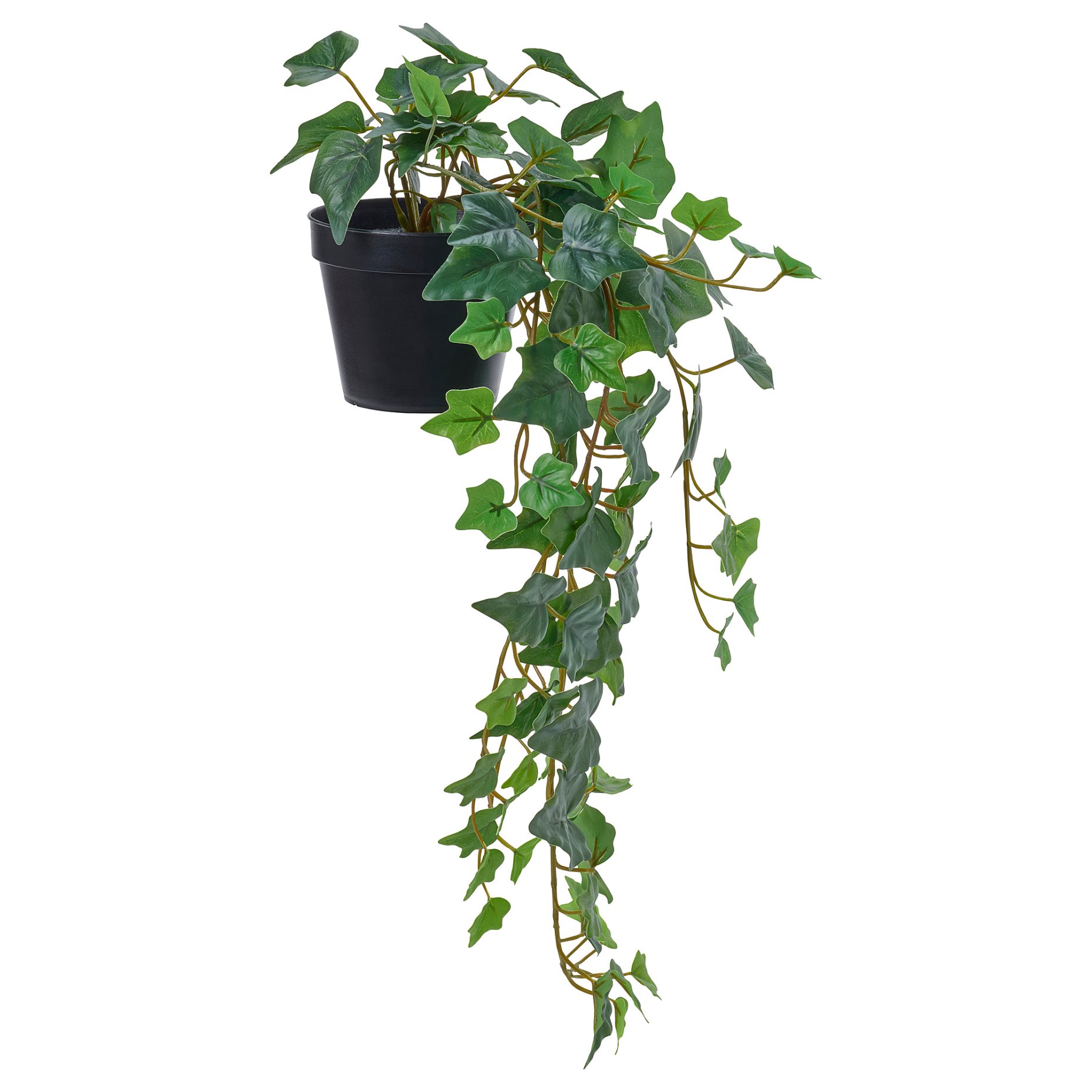 FEJKA, artificial potted plant in/outdoor hanging/Ivy, 12 cm, 206.152.29