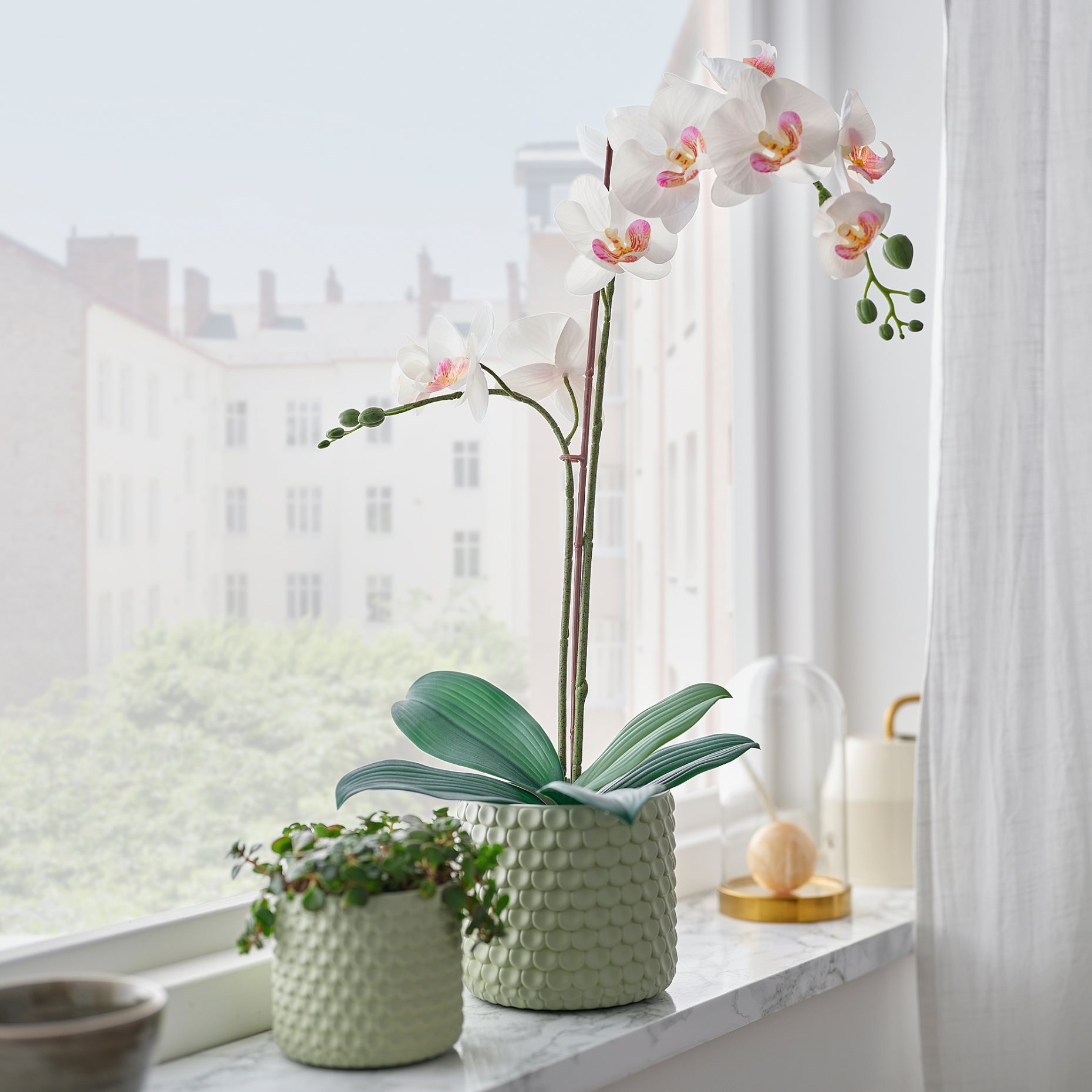 FEJKA, artificial potted plant/Orchid, 12 cm, 206.152.34