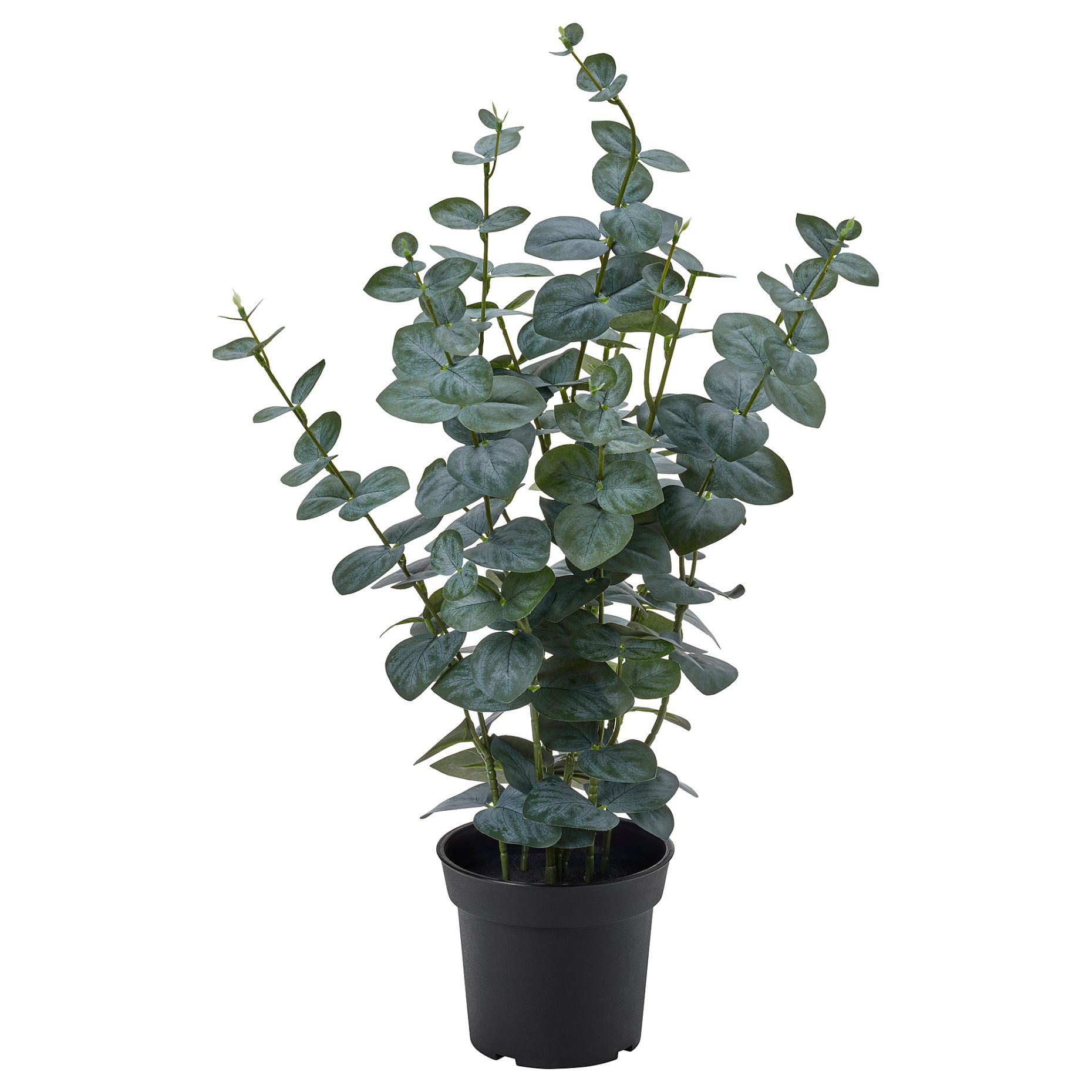 FEJKA, artificial potted plant in/outdoor/eucalyptus, 15 cm, 206.152.72