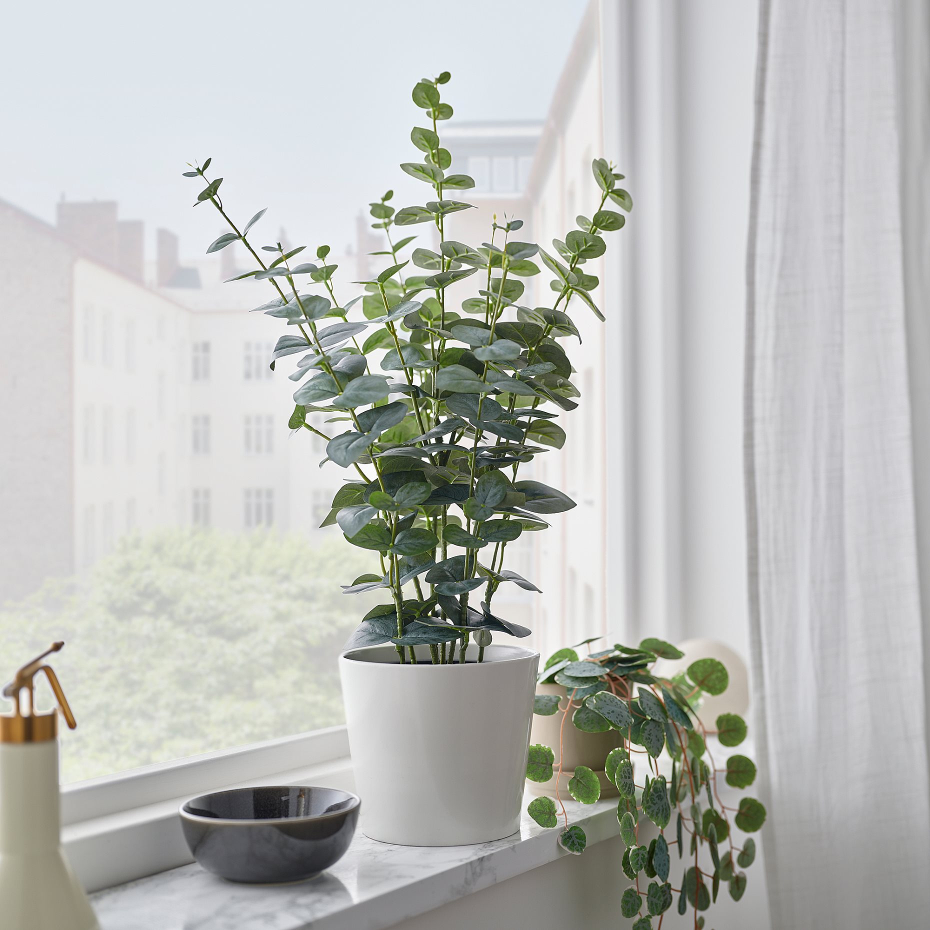FEJKA, artificial potted plant in/outdoor/eucalyptus, 15 cm, 206.152.72