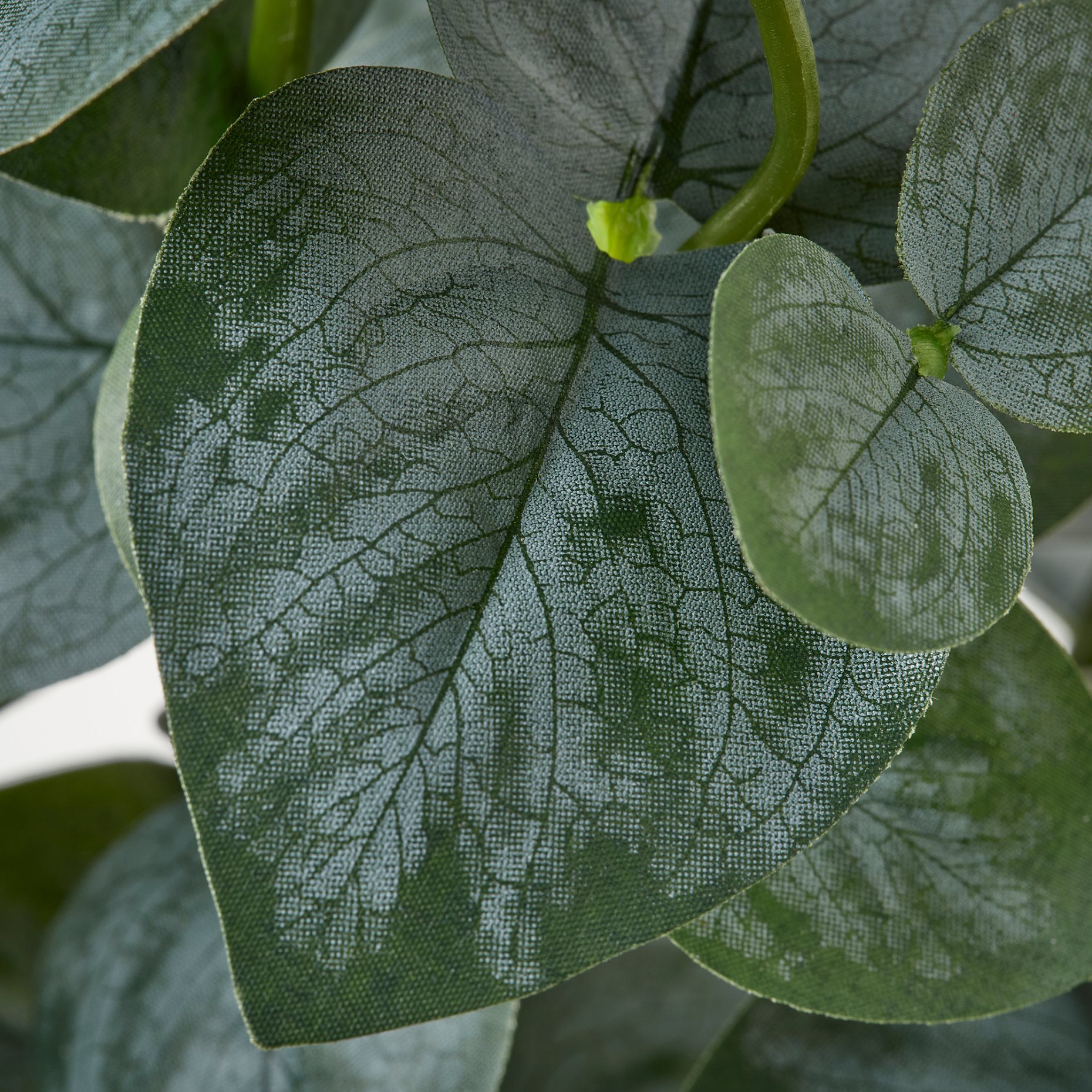 FEJKA, artificial potted plant in/outdoor/eucalyptus, 15 cm, 206.152.72