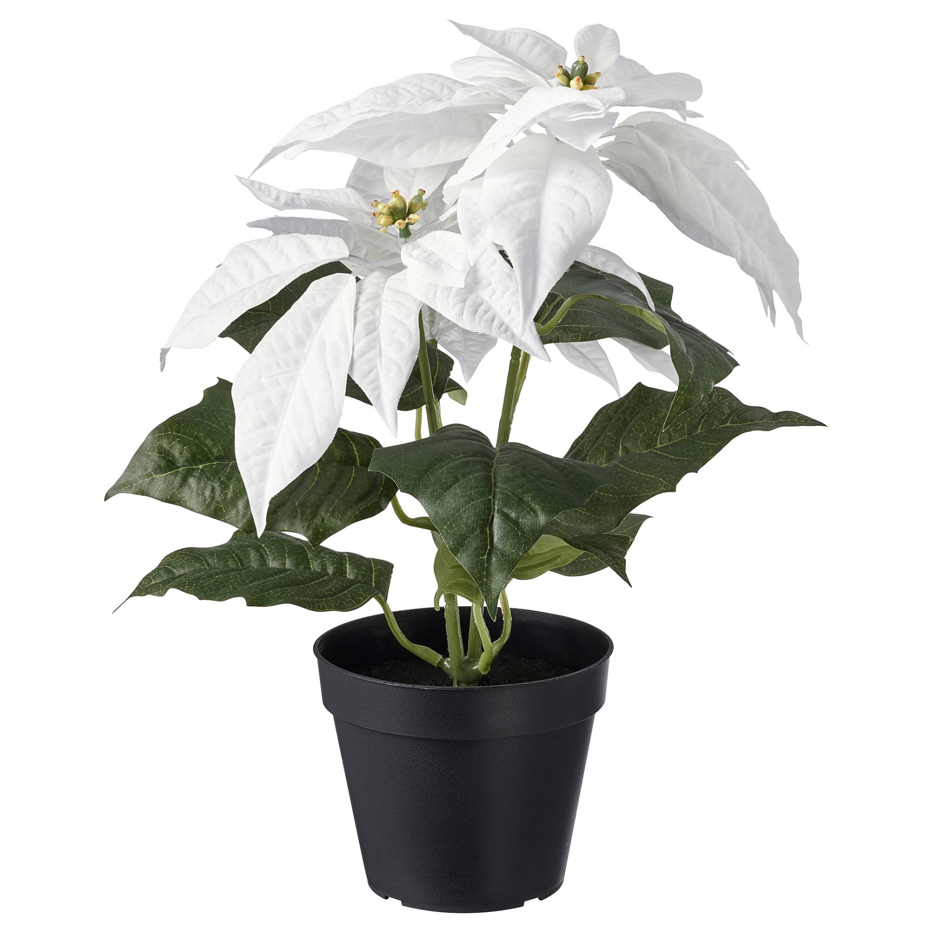 FEJKA, artificial potted plant in/outdoor/ Poinsettia, 12 cm, 304.684.97