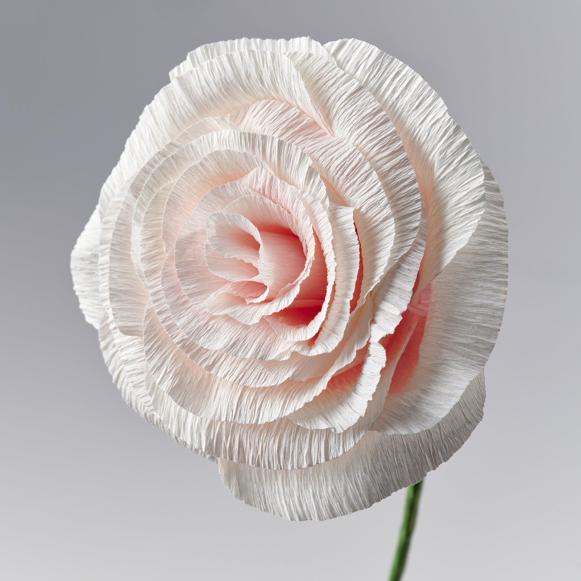 GULDSPETT, artificial flower/Rose, 50 cm, 306.149.60